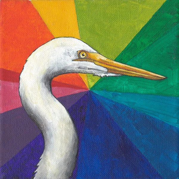 Radiant Egret