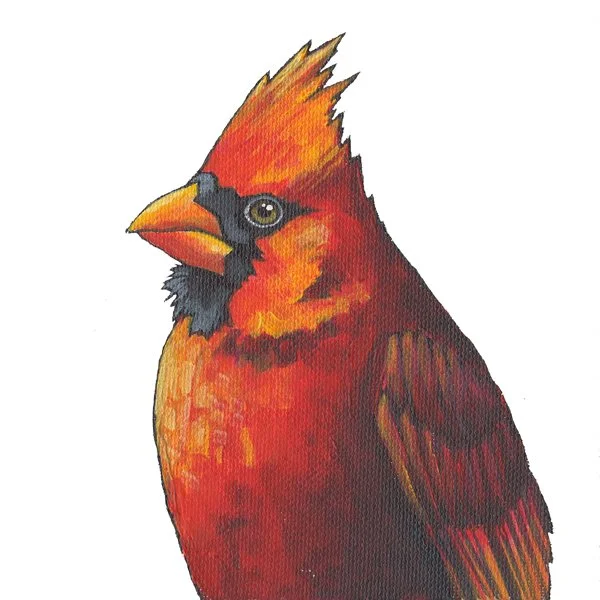Cardinal (side 2)