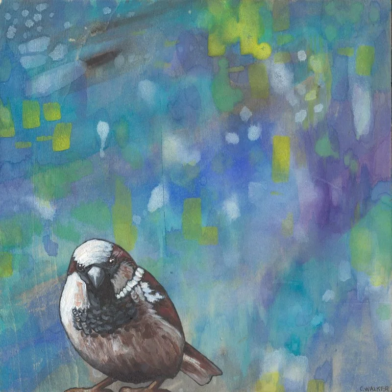 Sparrow! 3