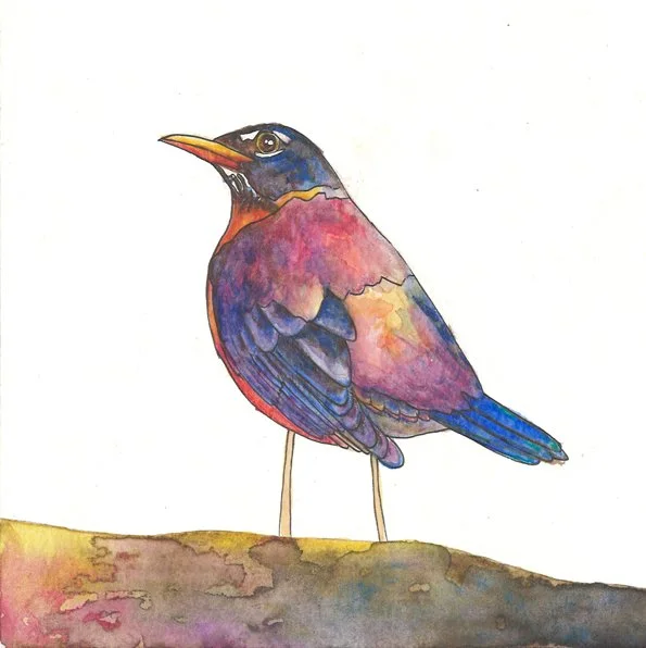 Robin (lookout)_websize.jpg