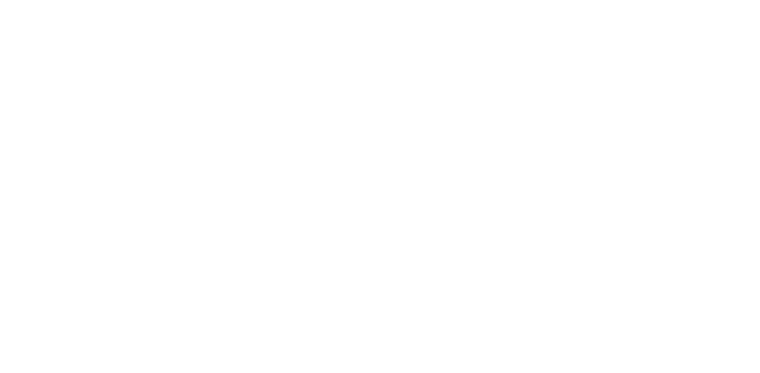 RONN MOTOR GROUP, INC.