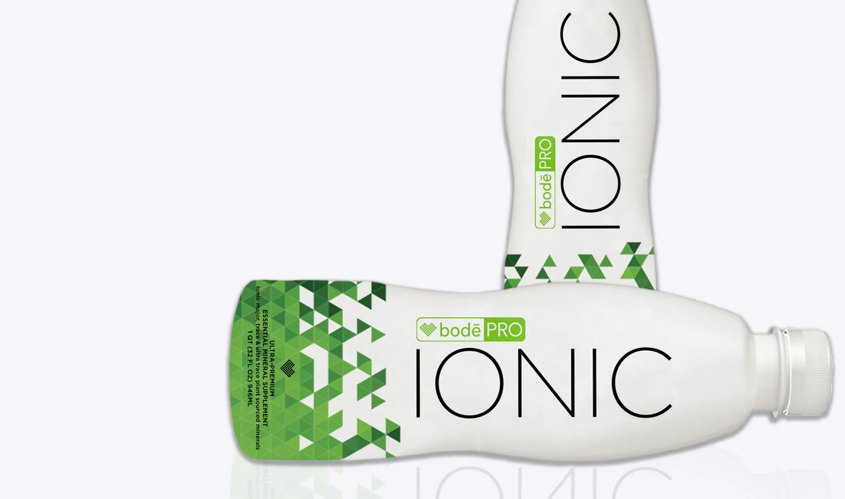 Ionic for the Holidays