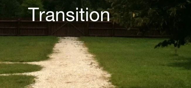 Circle Up! - A transition Prezi