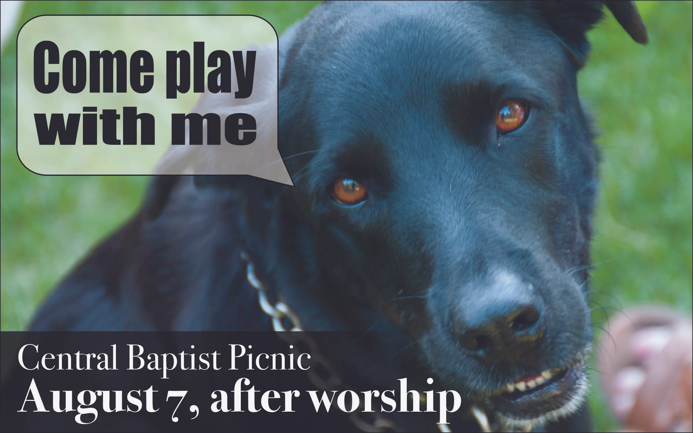 Central Baptist Church Picnic