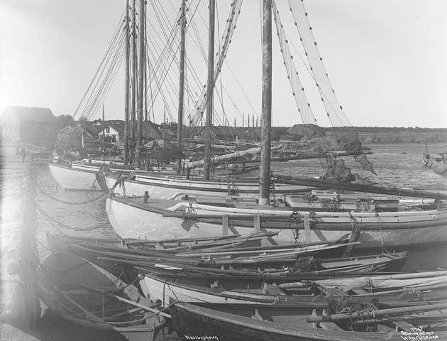 "Nevlunghavn" 1907