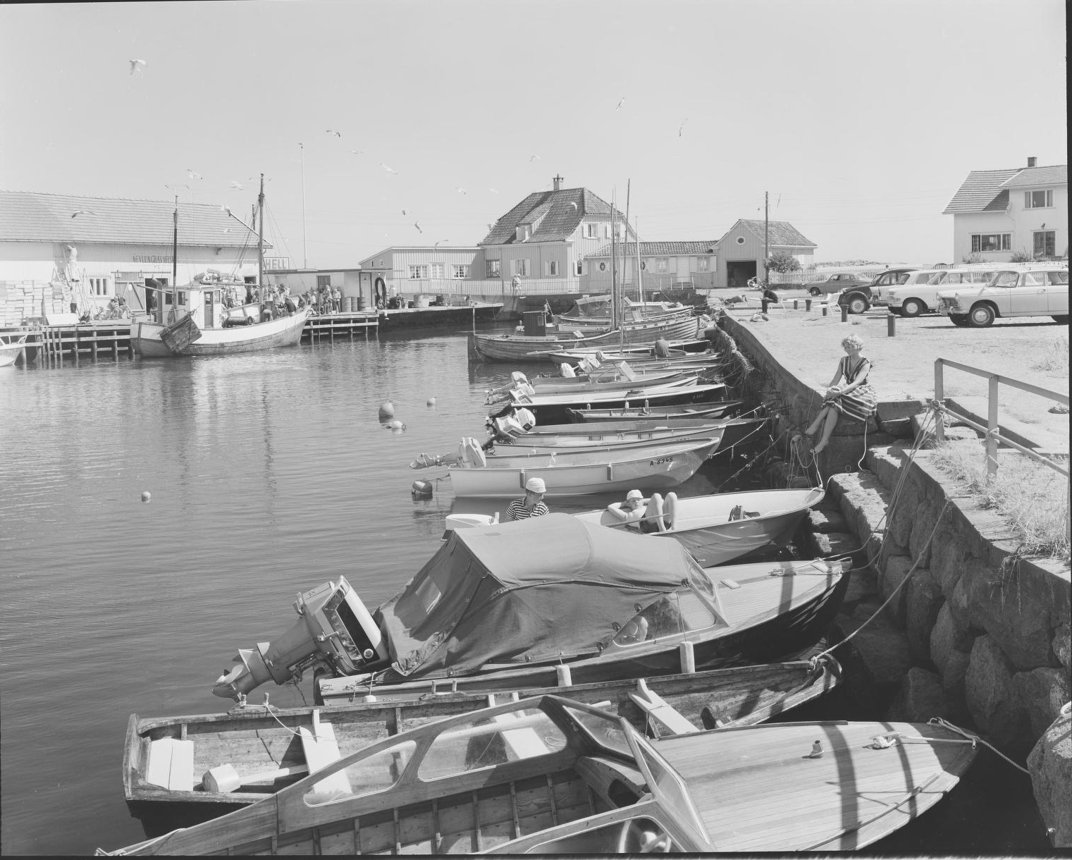 "Nevlunghavn" 1964