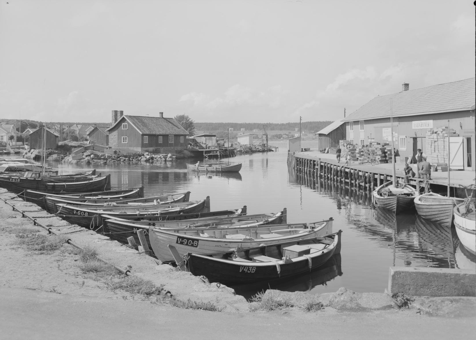 "Nevlunghavn" 1954