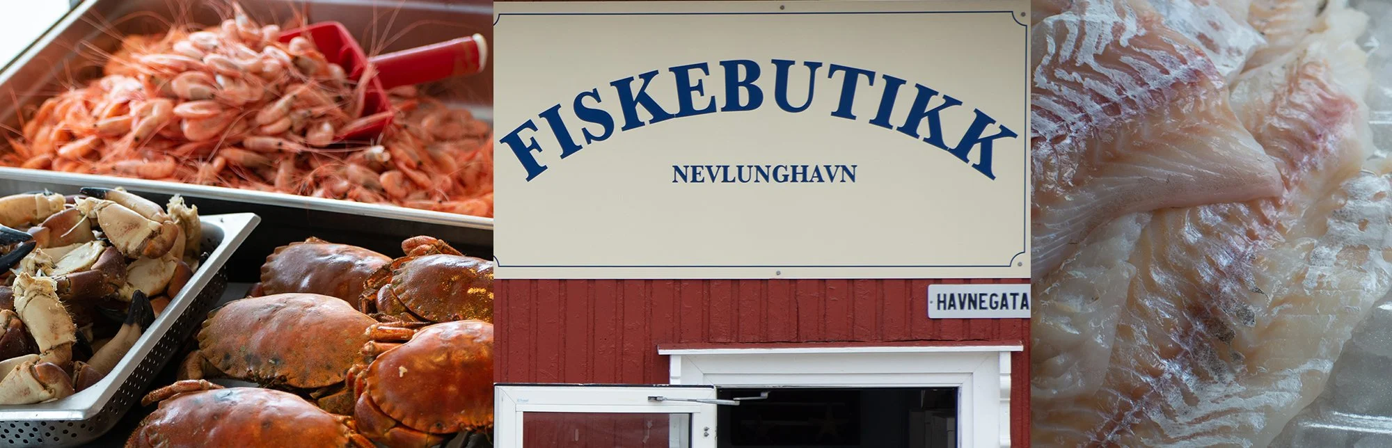 fiskebutikkencover2.jpg