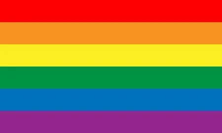81131079-lesbian-gay-bisexual-and-transgender-flag-rainbow-pride-flag-of-lgbt-organization-vector-illustratio.jpg