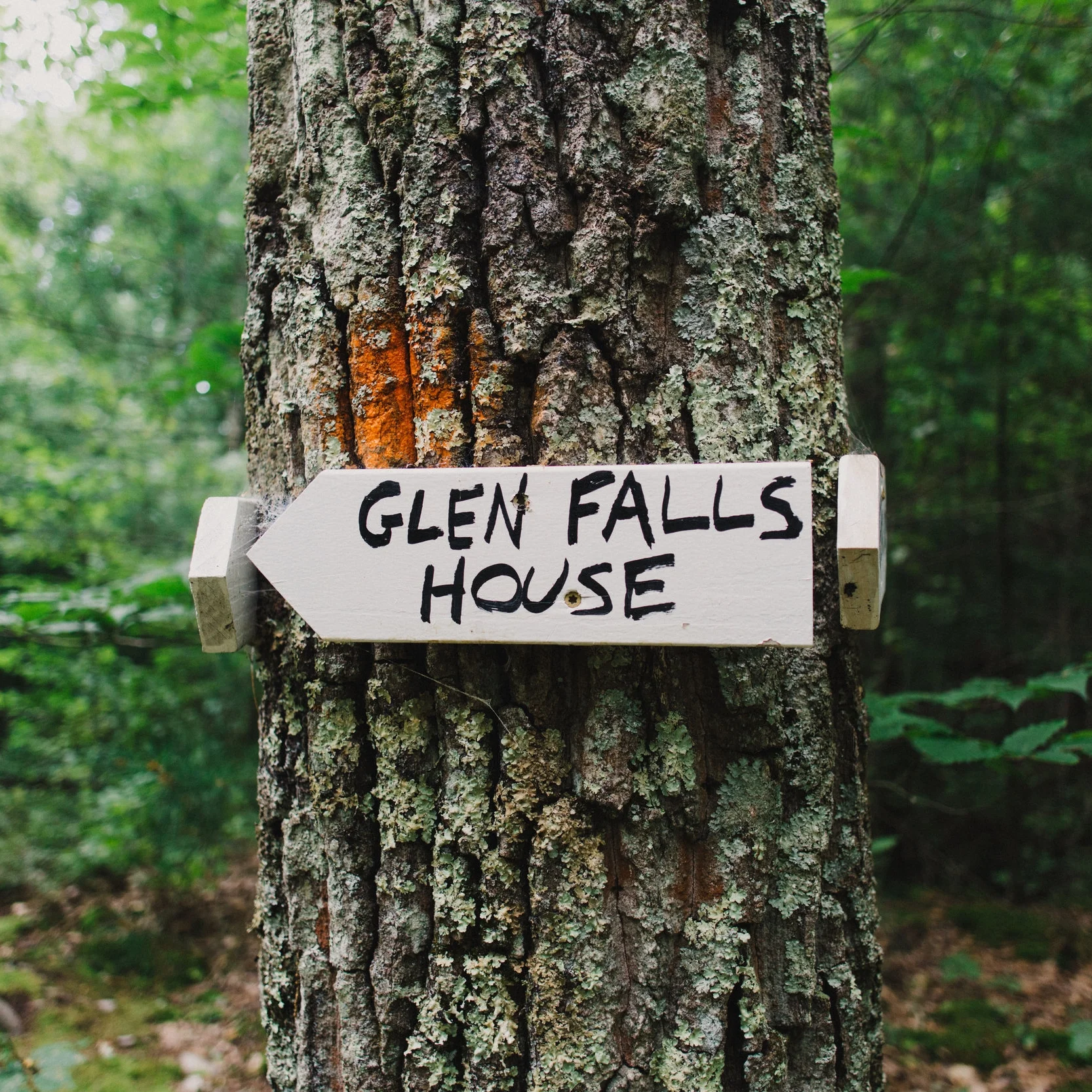 HIKING & BIKING | Our grounds are connected to miles of hiking and biking trails. Go for a hike, or bring your mountain bike.