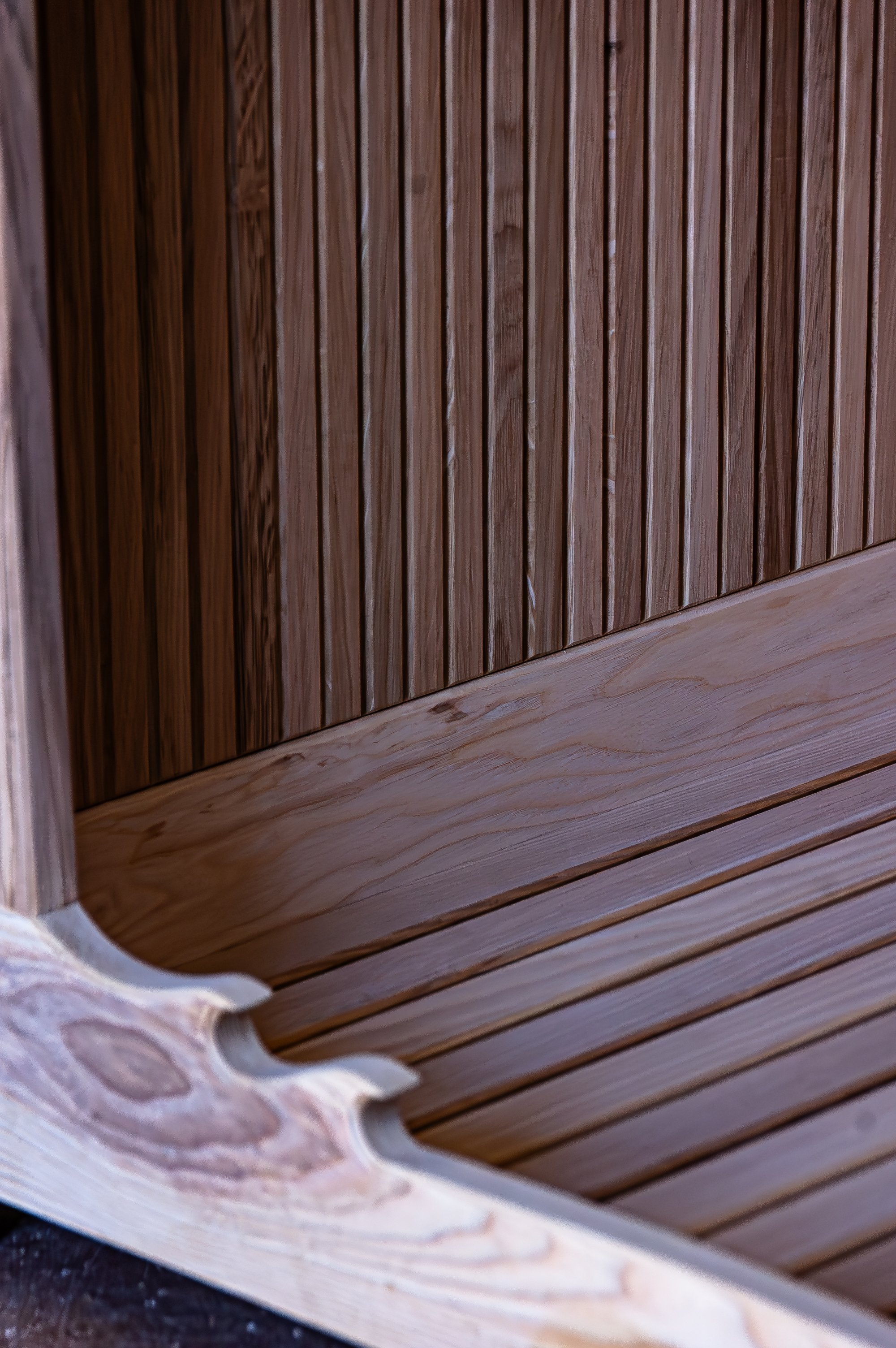 DSC_8439-Enhanced-NR-1.jpg