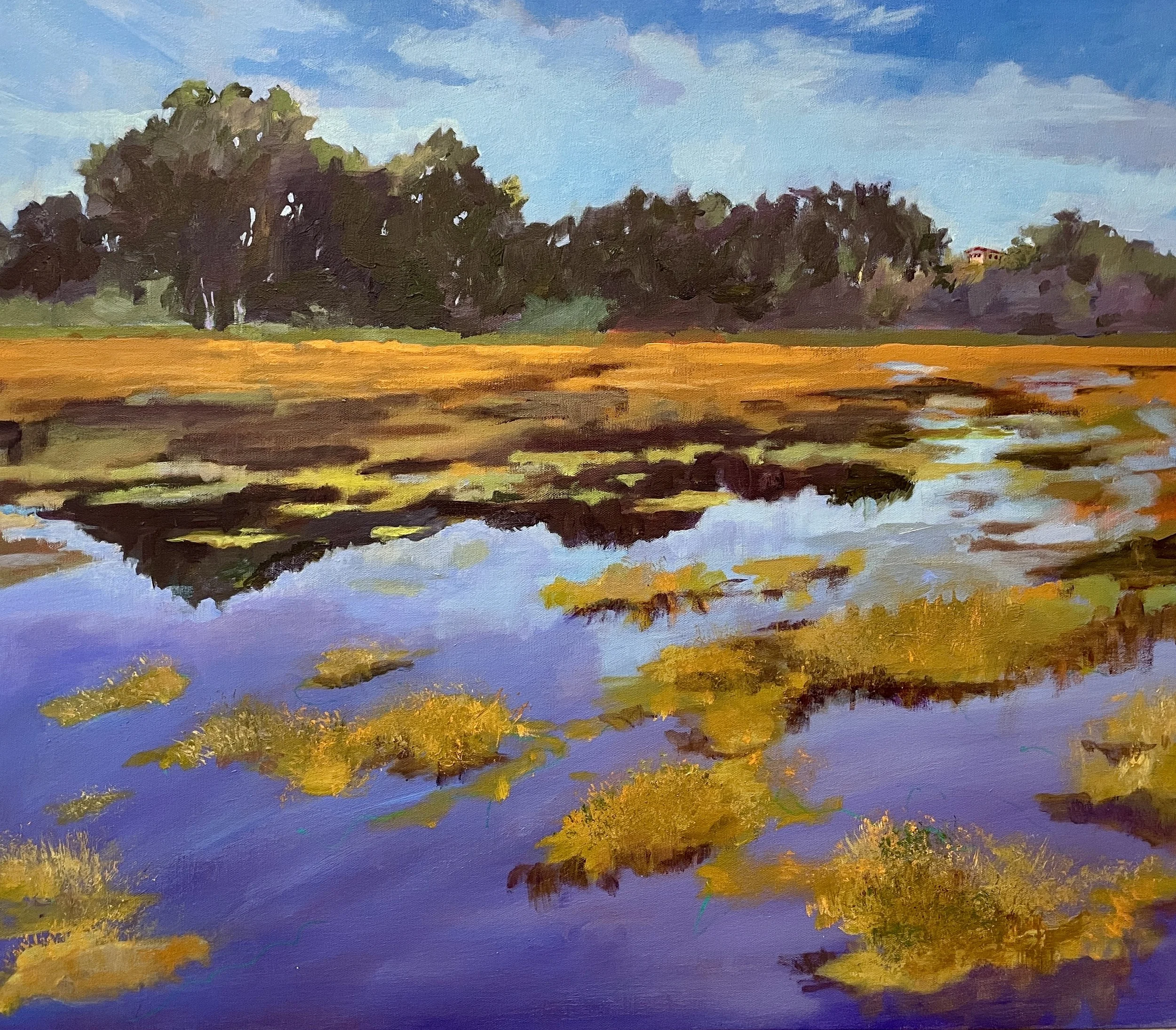 Marshy March Marsh