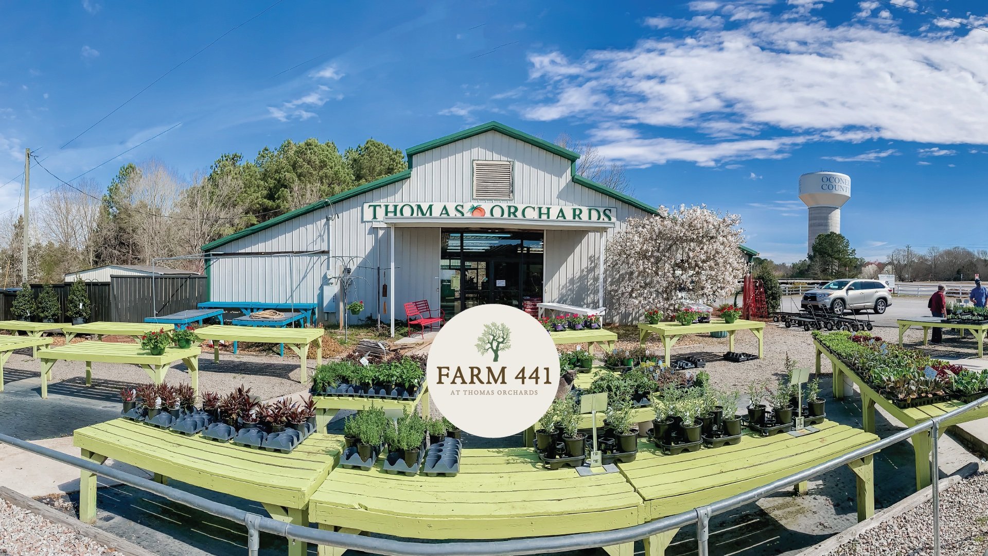 Farm 441-Thomas Orchards.jpeg