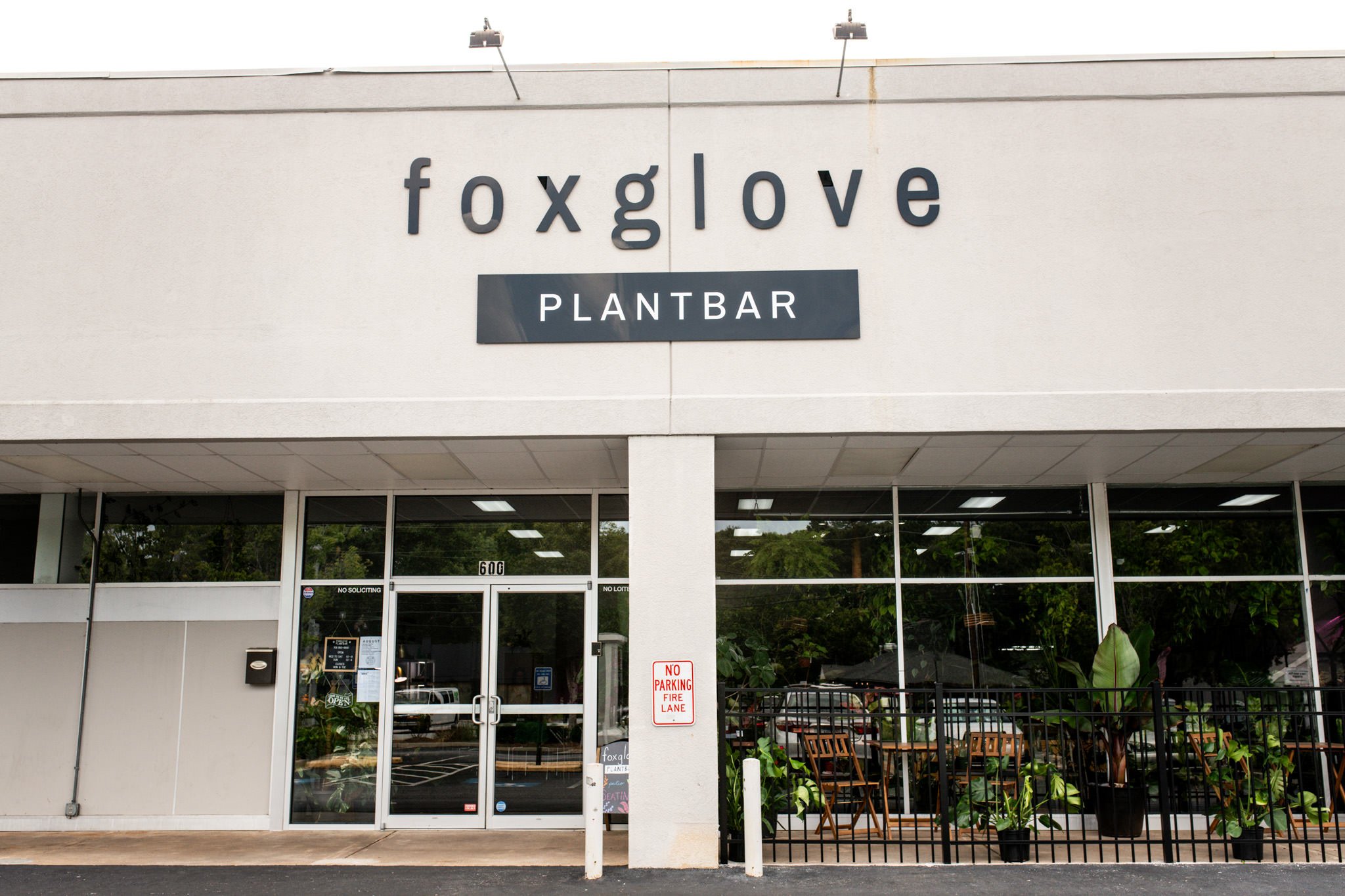 Foxglove-plant-bar-36.jpg