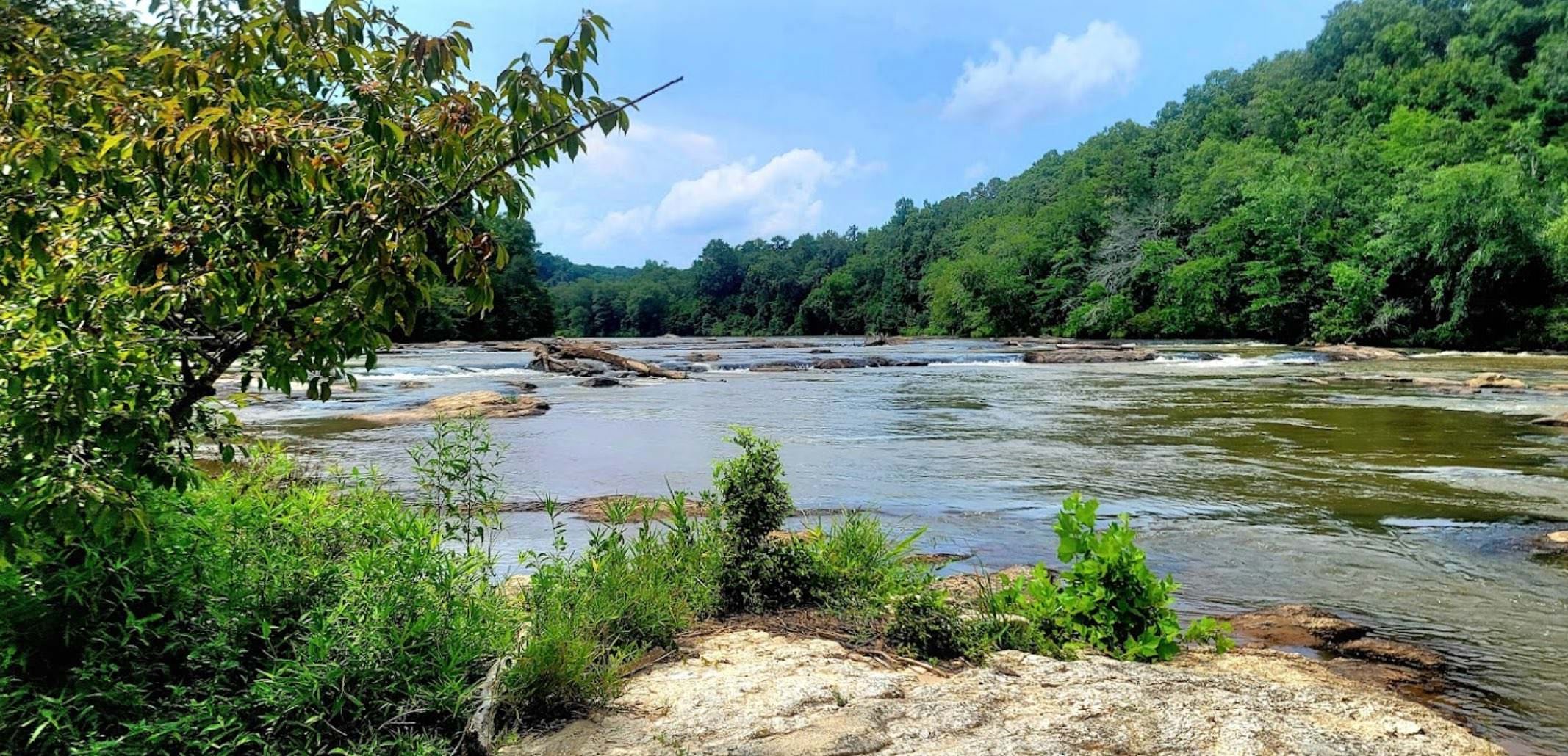 Broad-River-near-Oglethorpe.jpeg