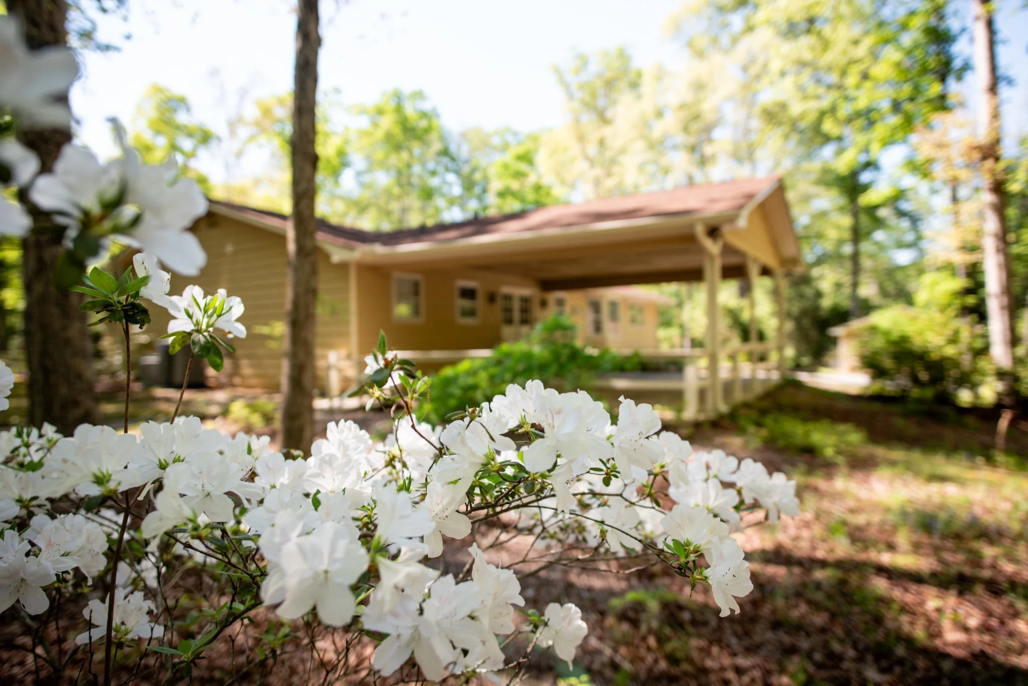 Greenwood Exterior-22.jpg