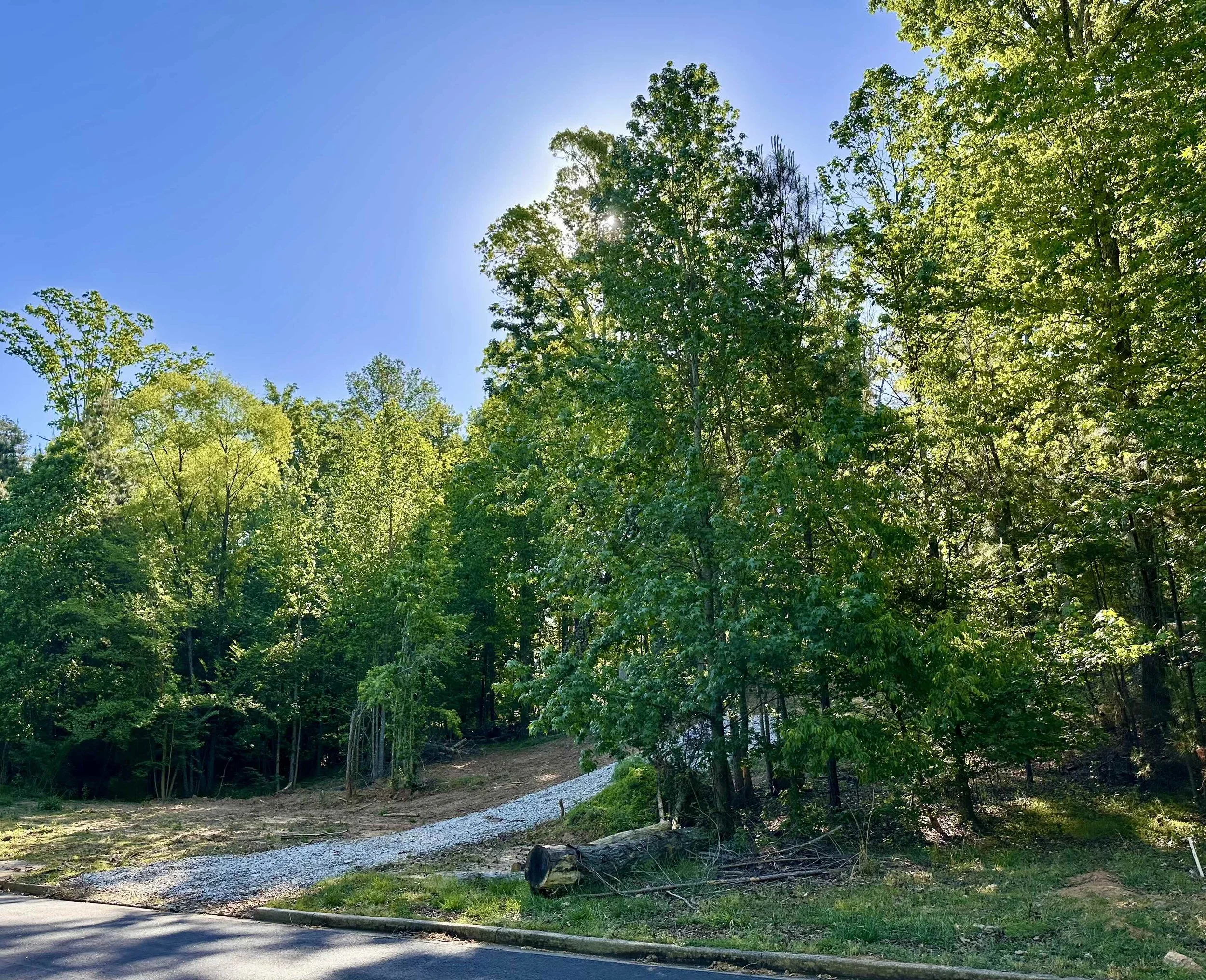 Residential-lot-for-sale.jpg