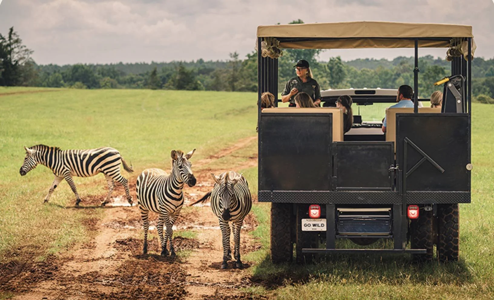 Madison-GA-safari.jpg