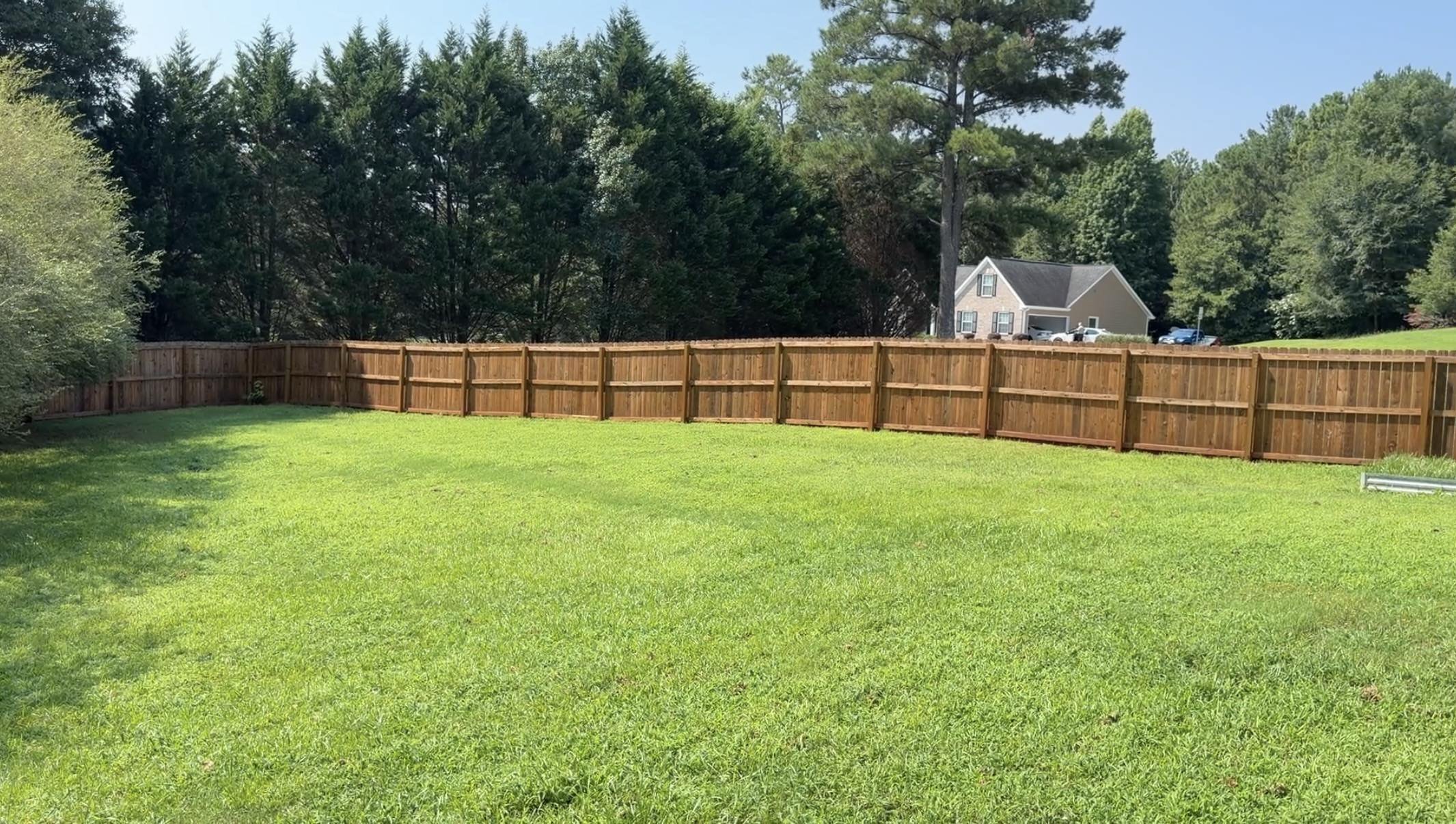Backyard 3.jpg