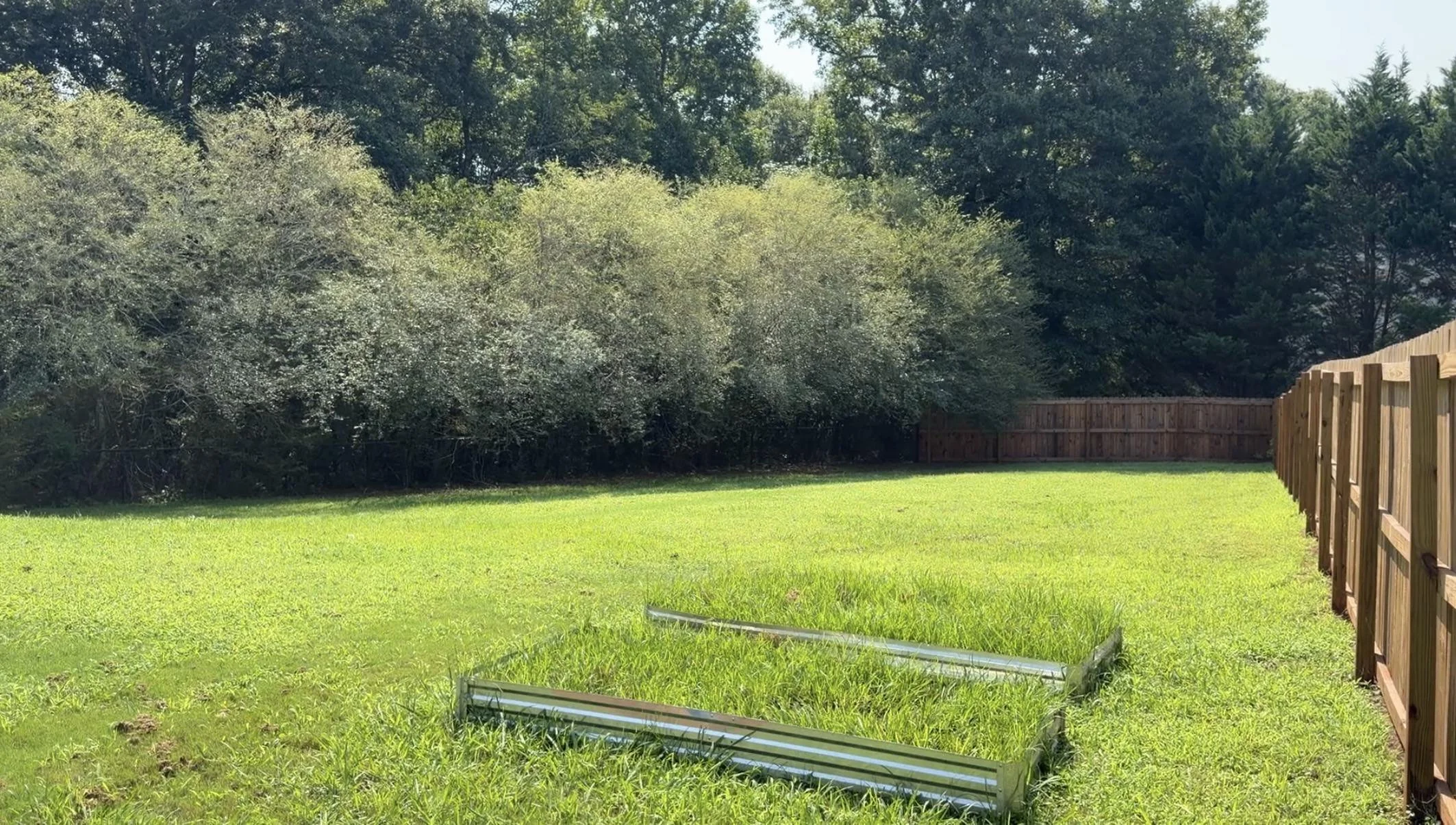 Backyard 2.jpg