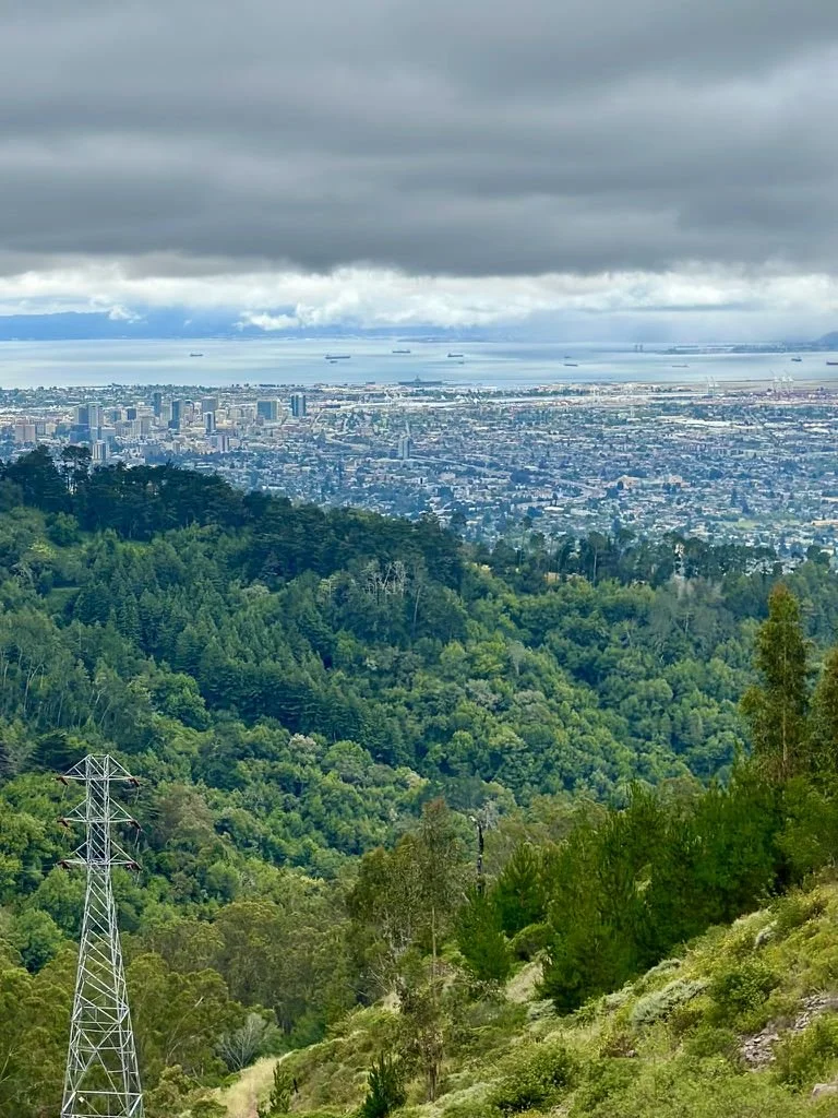 Berkeley Hills.jpeg