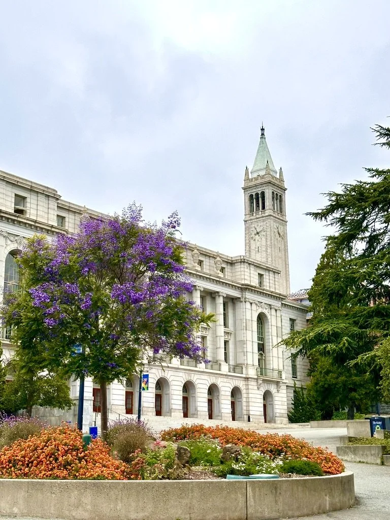 UC Berkeley.jpeg