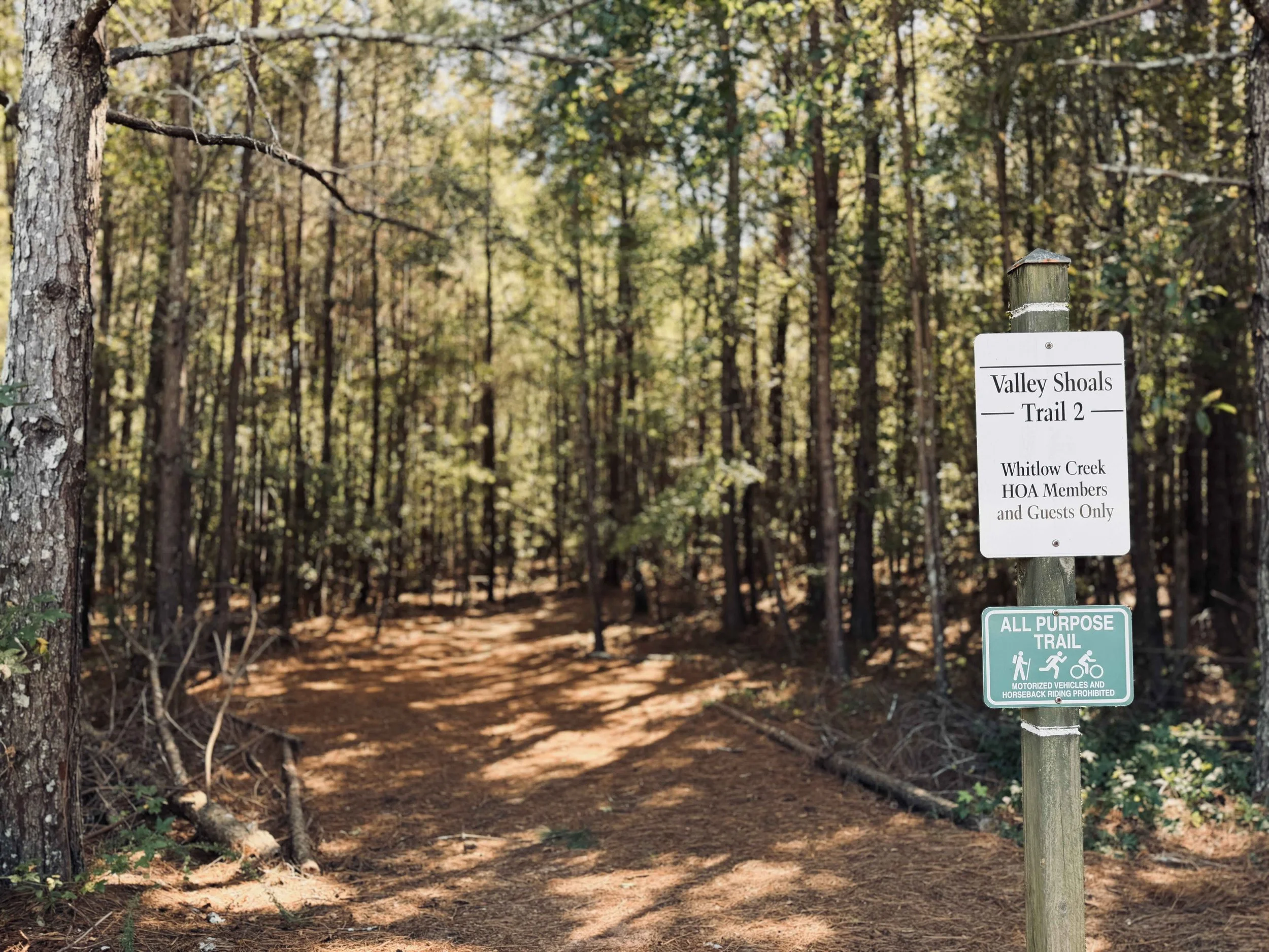 Bishop-Neighborhood-Walking-Trails.jpeg