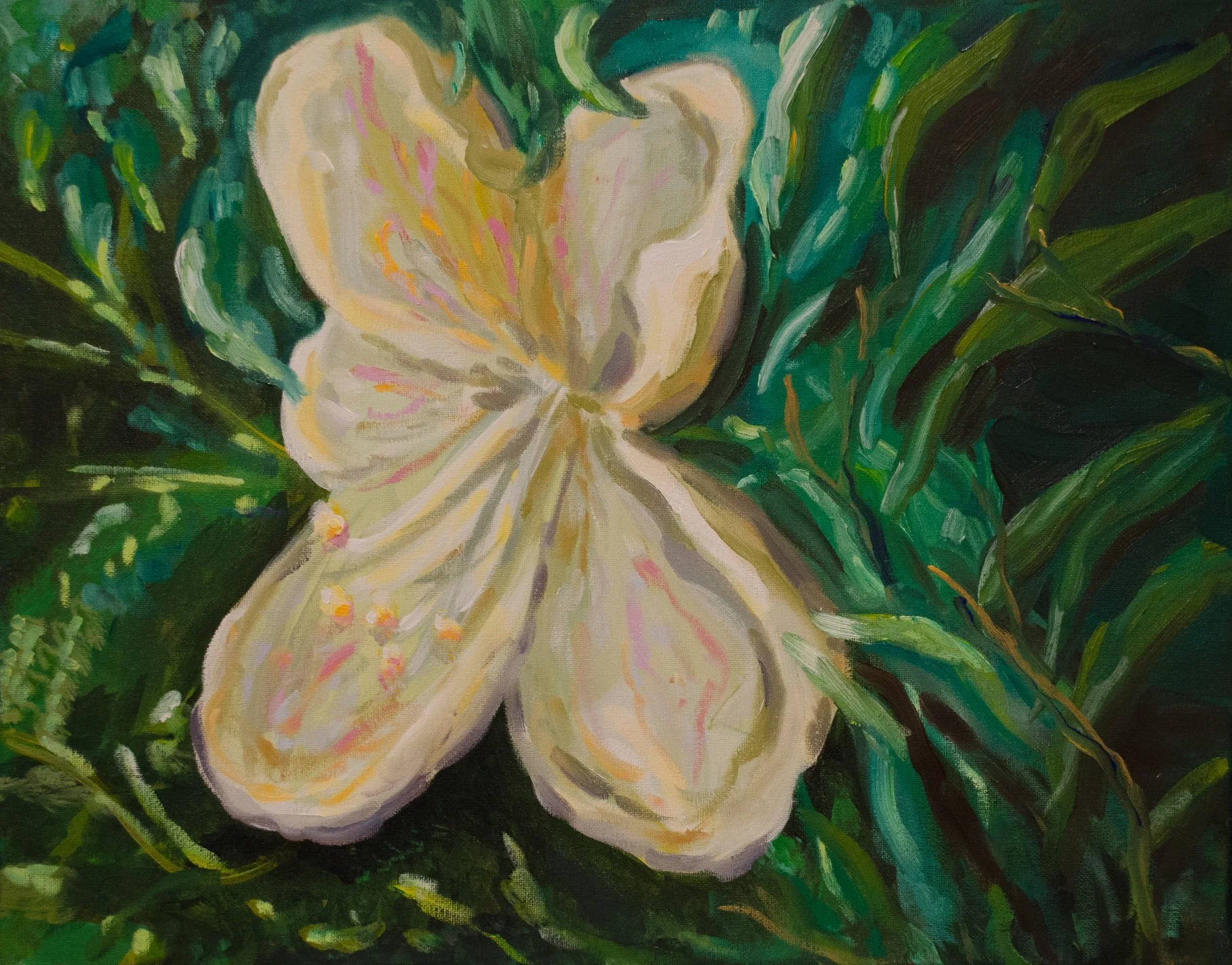 forest lily.jpg
