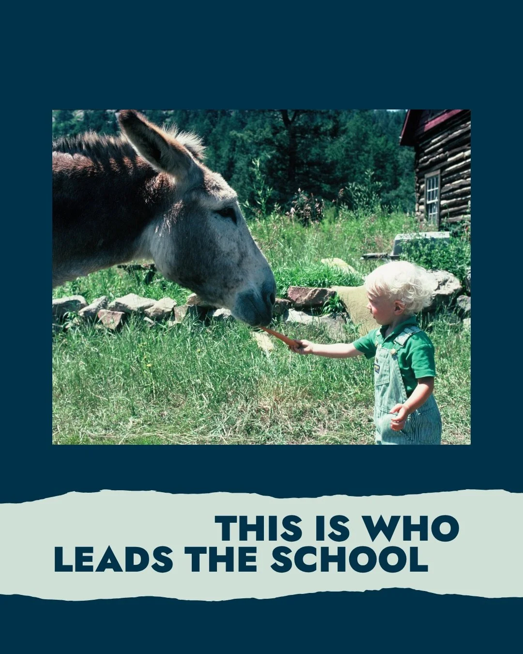 The (baby) faces of some of the people who build your Haystack experience❣️

#ThisIsWho #HaystackSchool #CraftEducation #CraftSchool #CraftCommunity

📸s:
1. Perry Price (he/him), Executive Director
2. Anna Lehner (they/them), Programs + Studio Direc