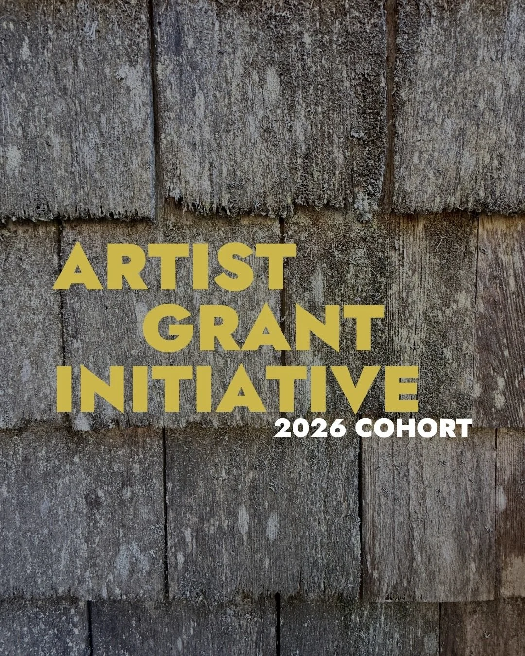 Congratulations to the second Artist Grant Initiative cohort! 🎉

The program provides eight early-career artists in craft with an unrestricted grant of $10,000 as well as a six-month mentorship with this year&rsquo;s mentor artists, Malene Djenaba B