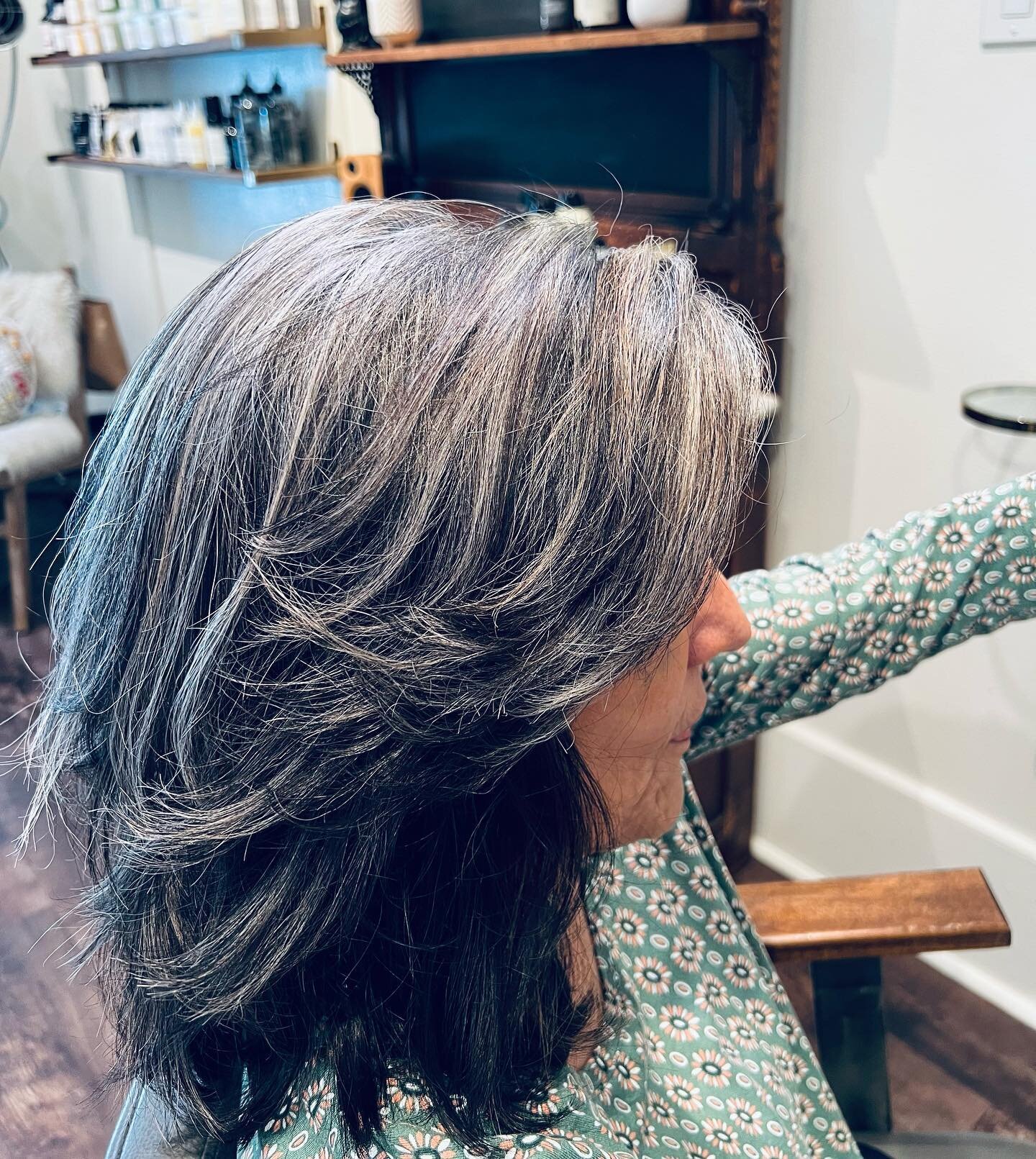 Going back to grey, success!  @thairpyhairstudio @goinggrey @santarosa