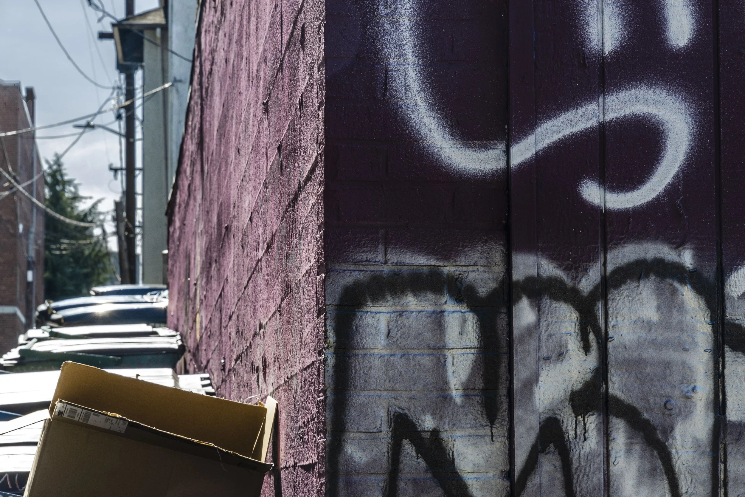 Cap_Hill_Alley-1.jpg