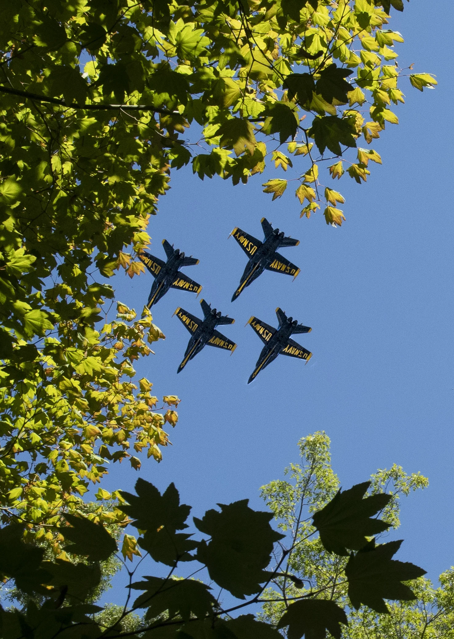 Blue_angels_p_Edit.jpg