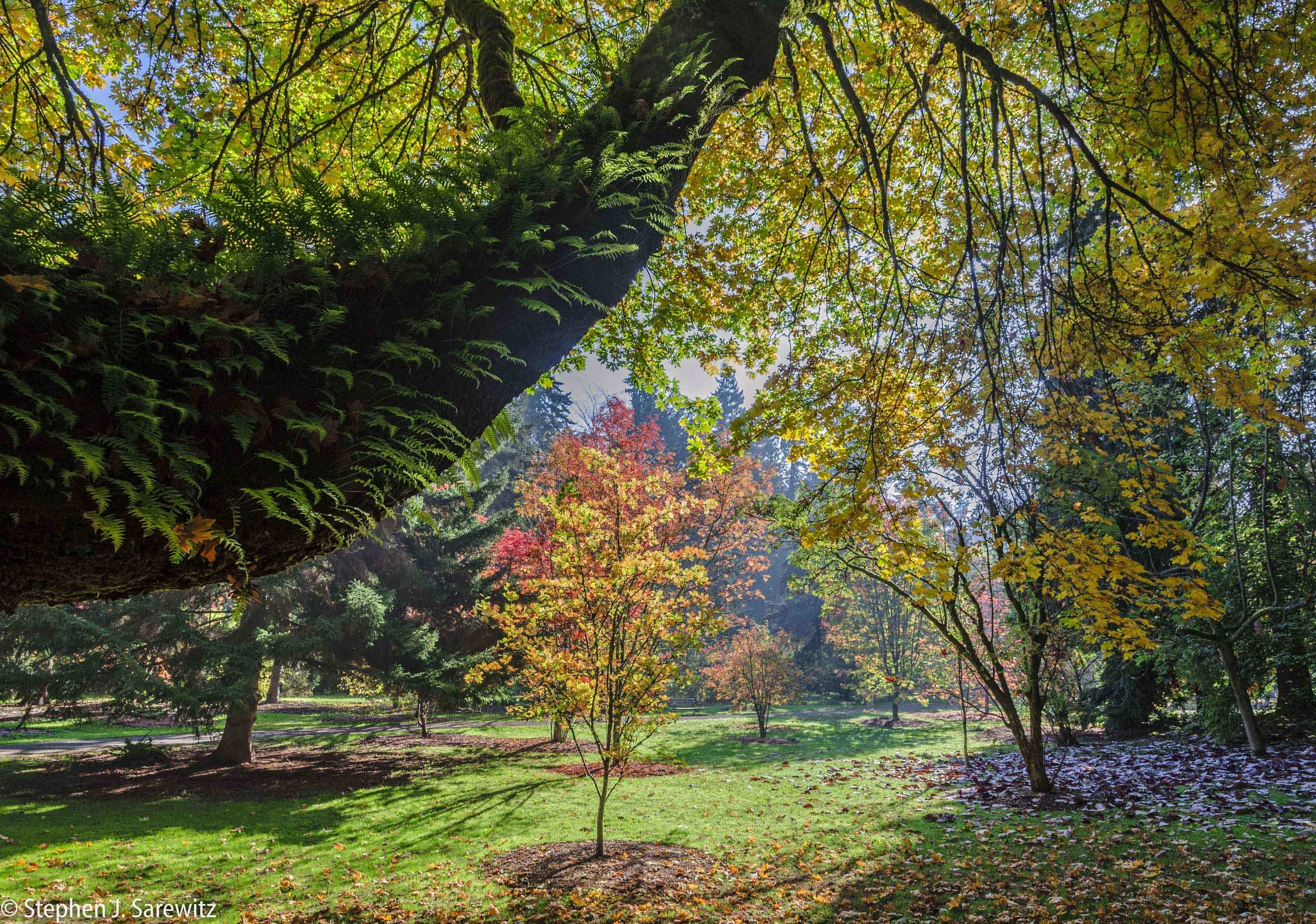 Arboretum-55-Edit.jpg