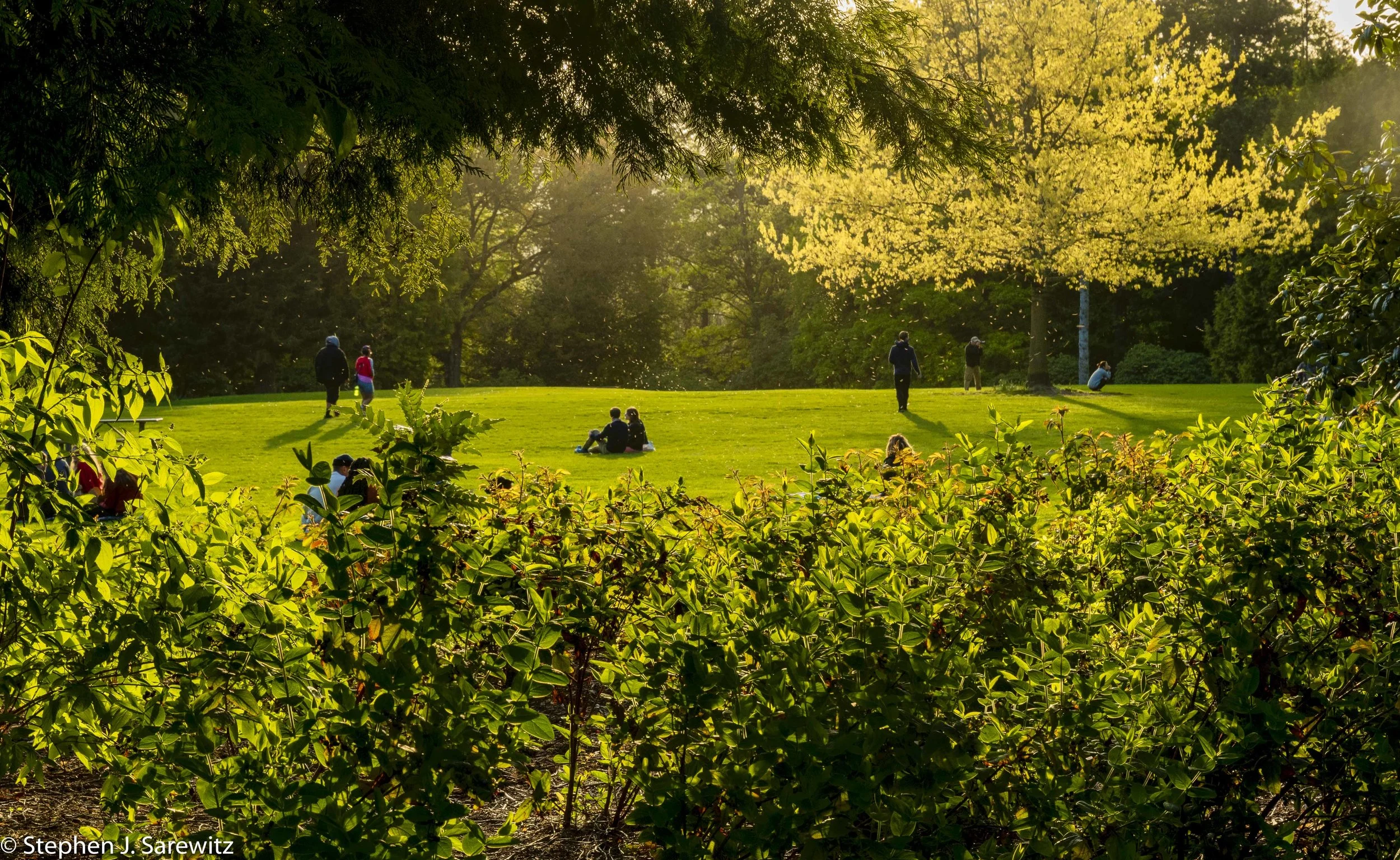 VolunteerPark-18-Edit.jpg