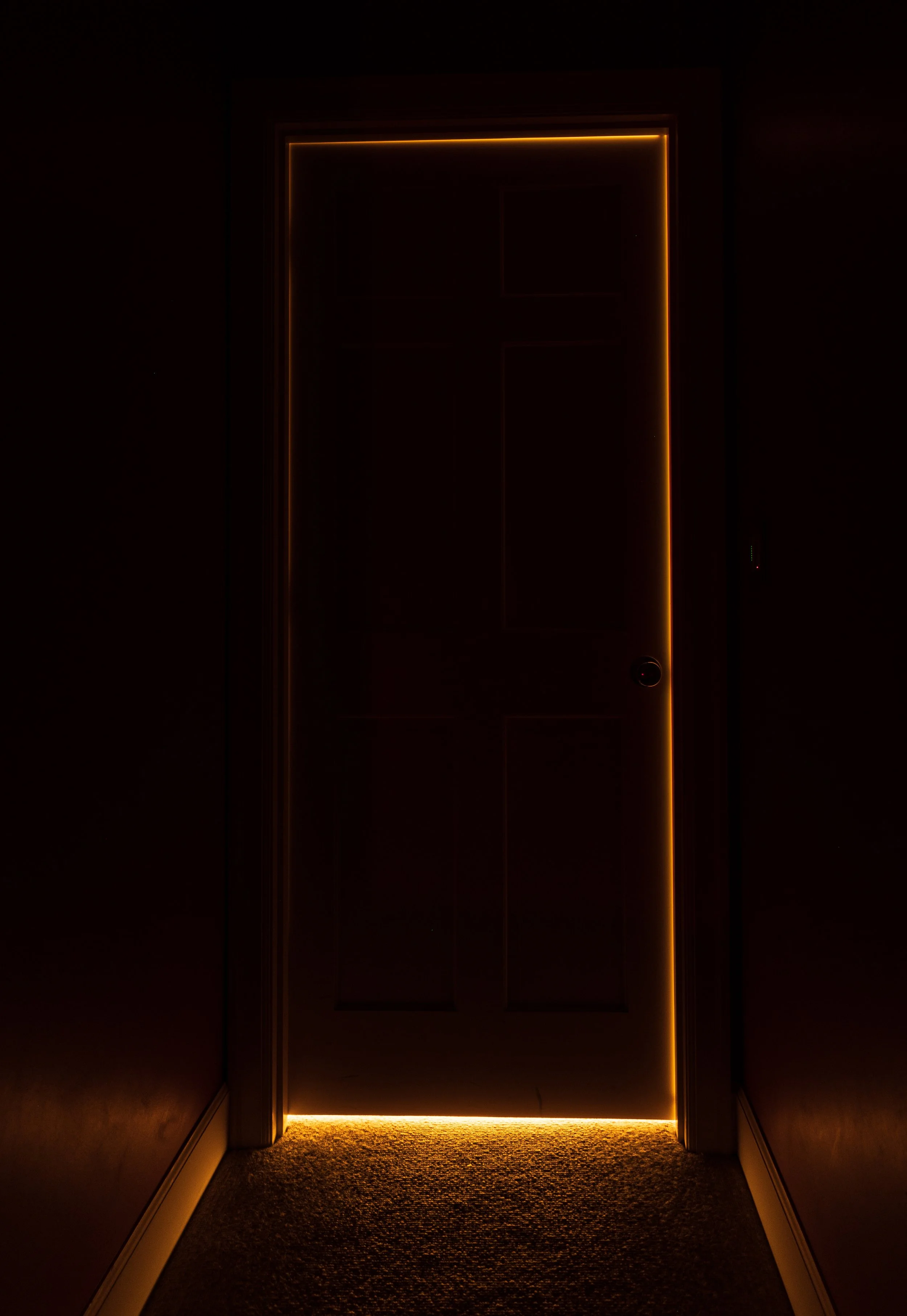 20221228-DSC_0038.jpg