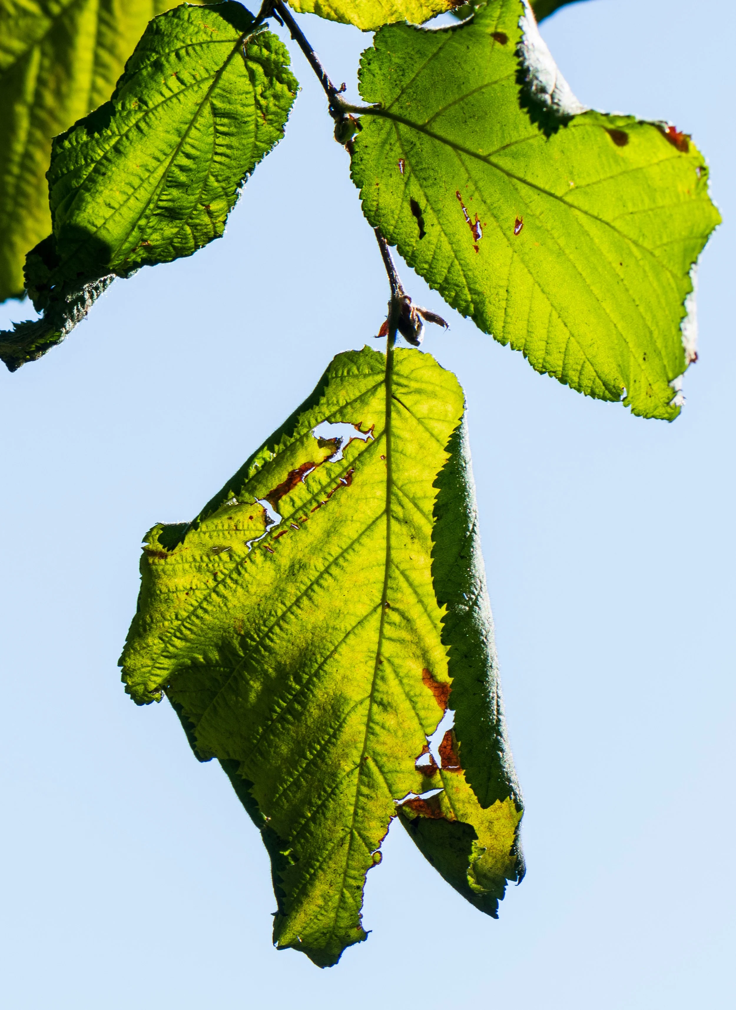 20231006-DSC_1302.jpg