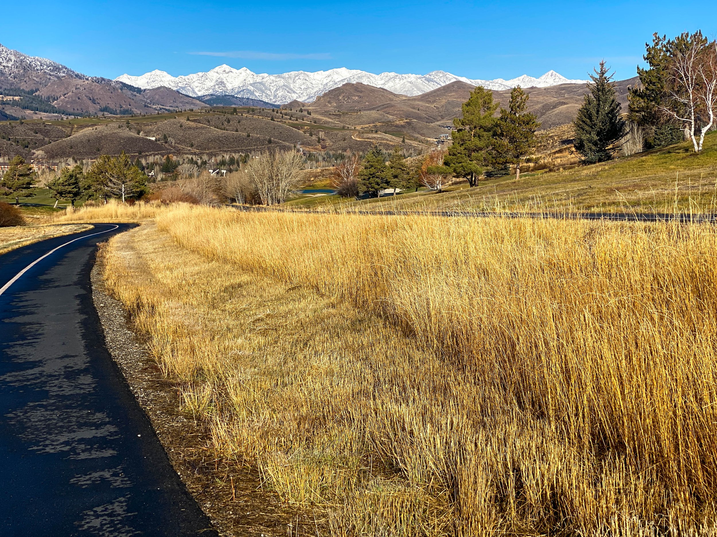 IMG_8548-Edit.jpg