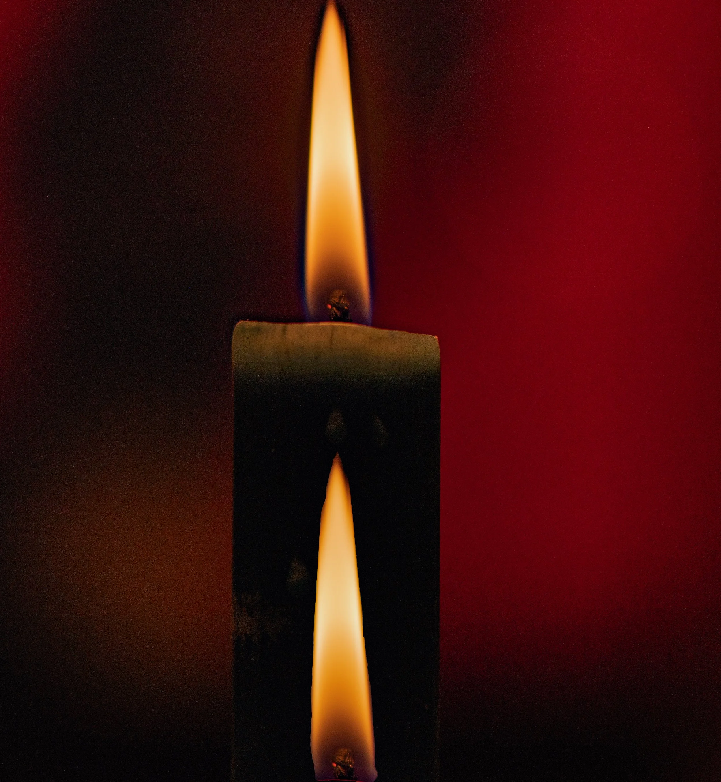 20240209-DSC_1733-Edit-2.jpg