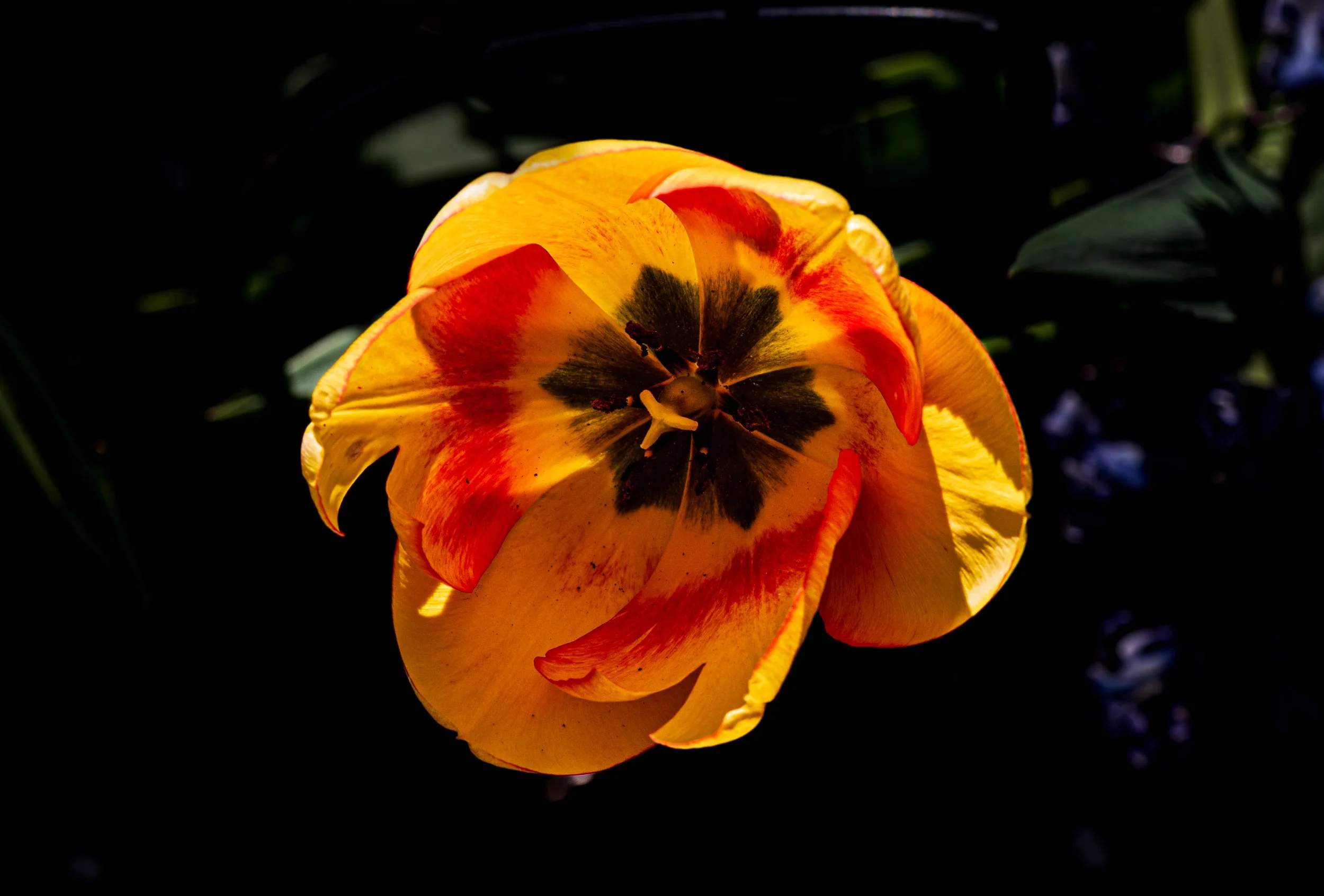 20431117-DG9_0209.jpg