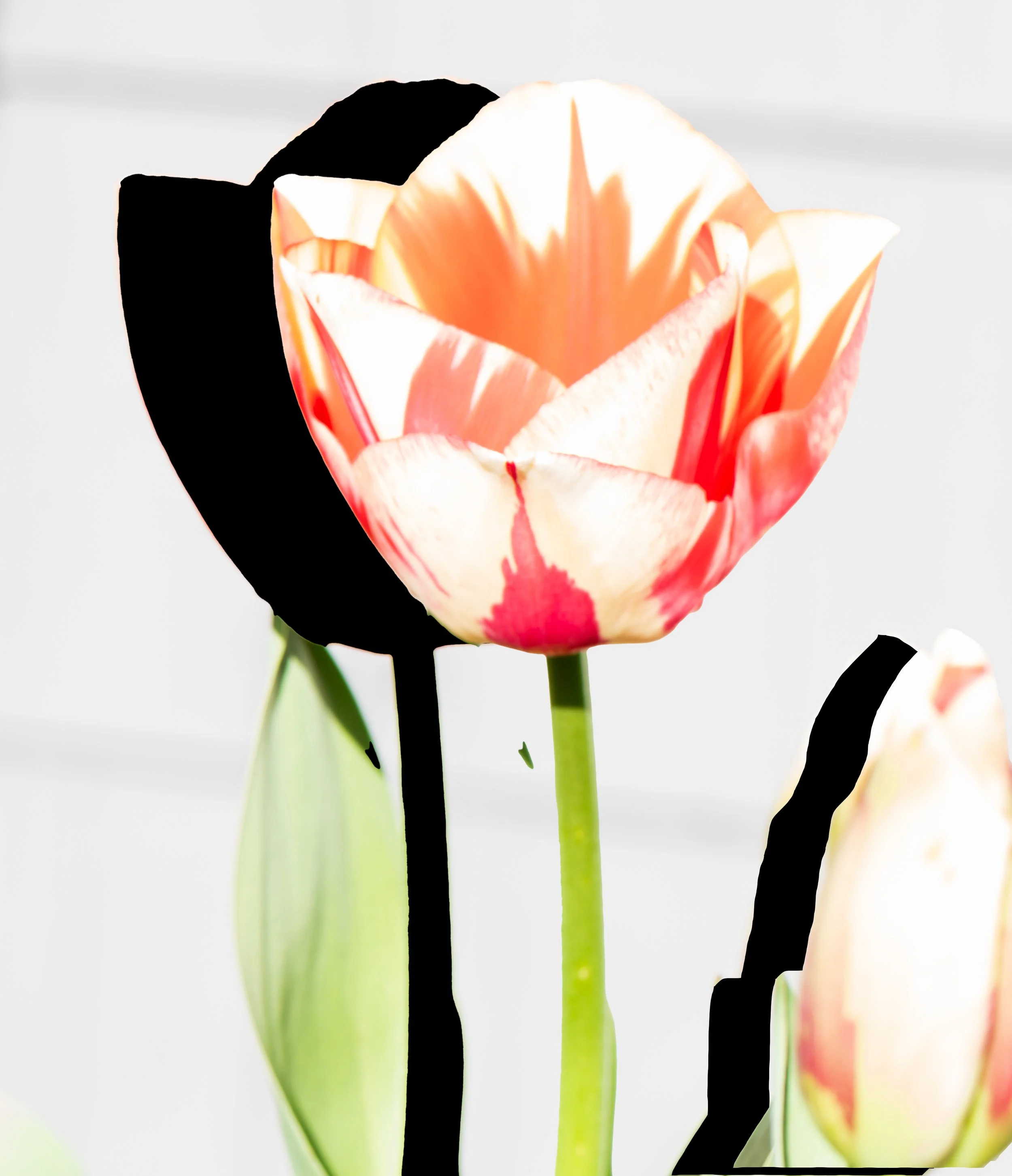20431117-DG9_0256-Edit.jpg