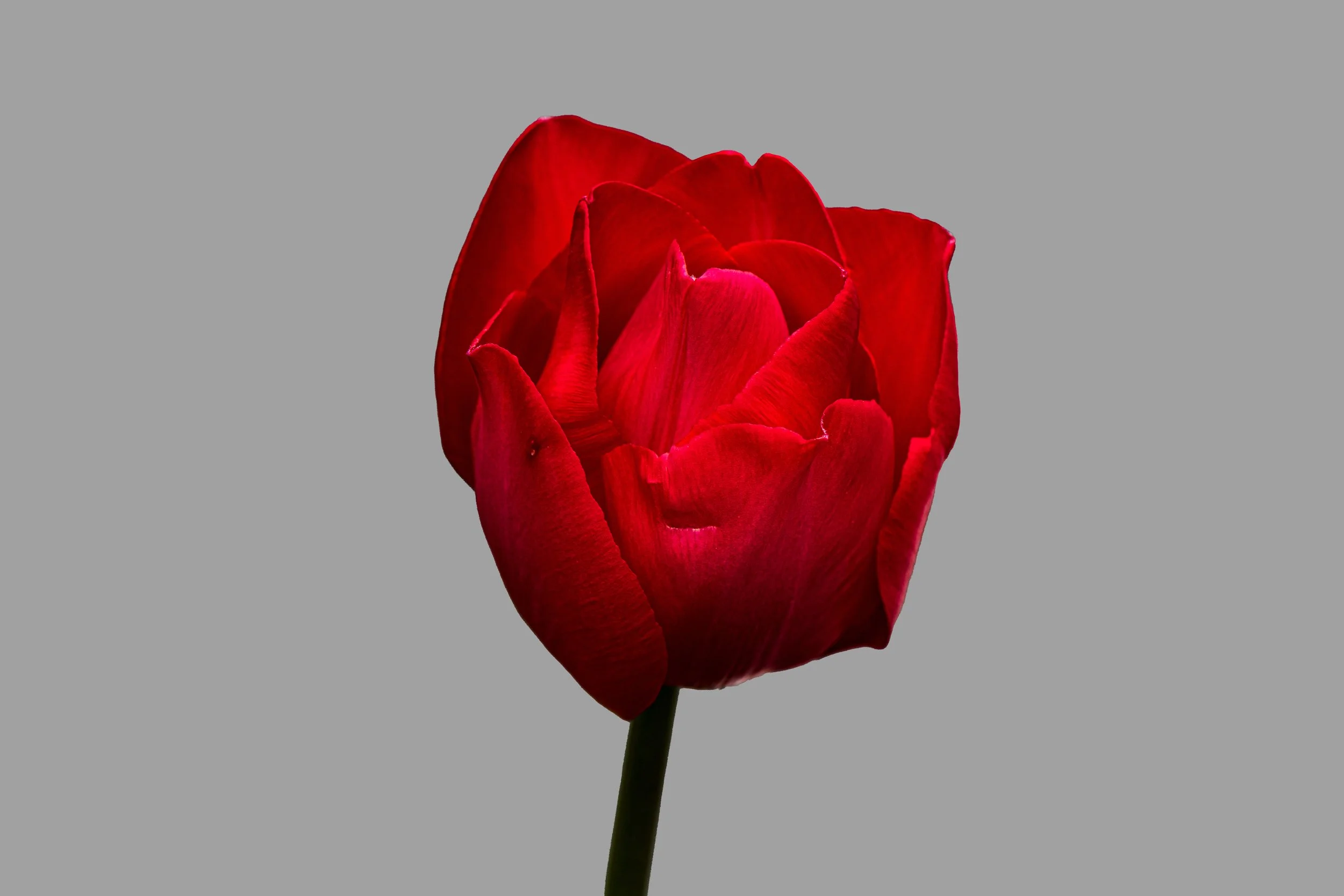 20431122-CZ9_0304-Edit.jpg