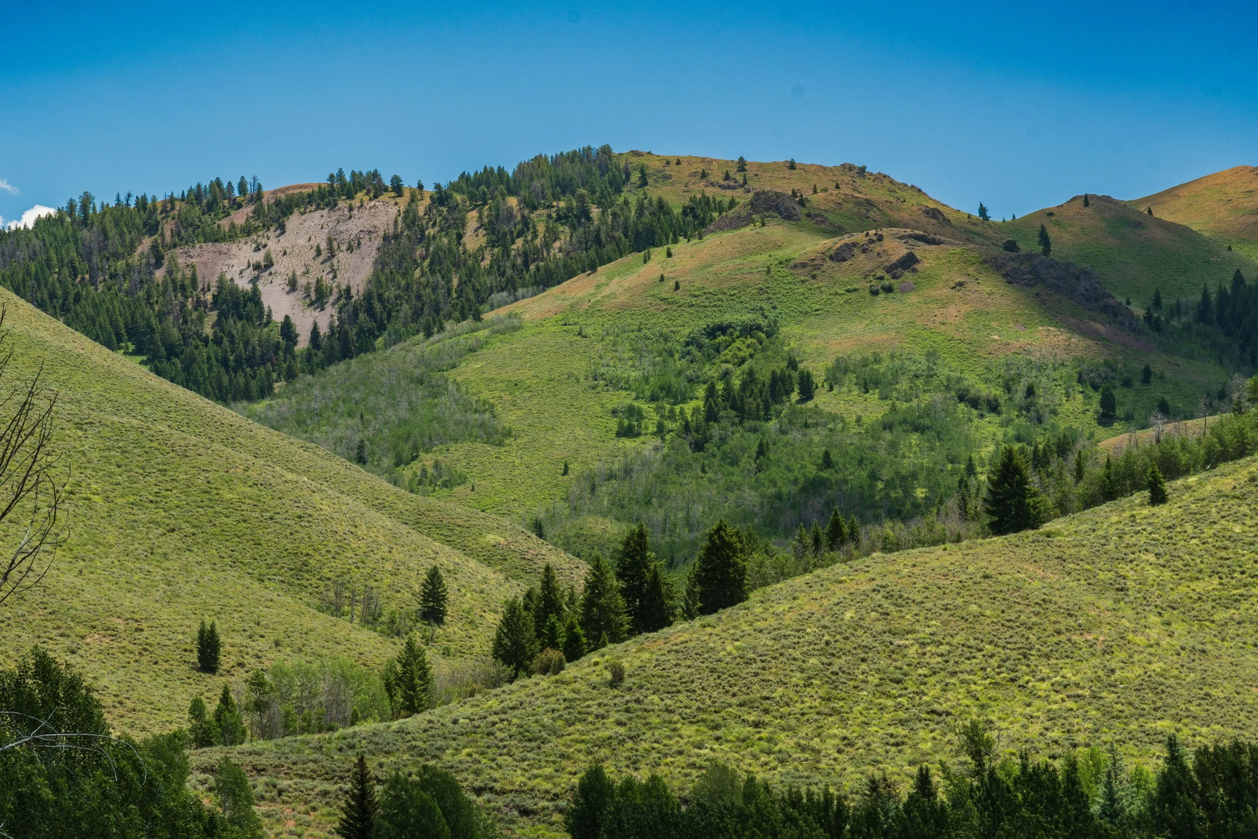20240701-DSC_2633.jpg
