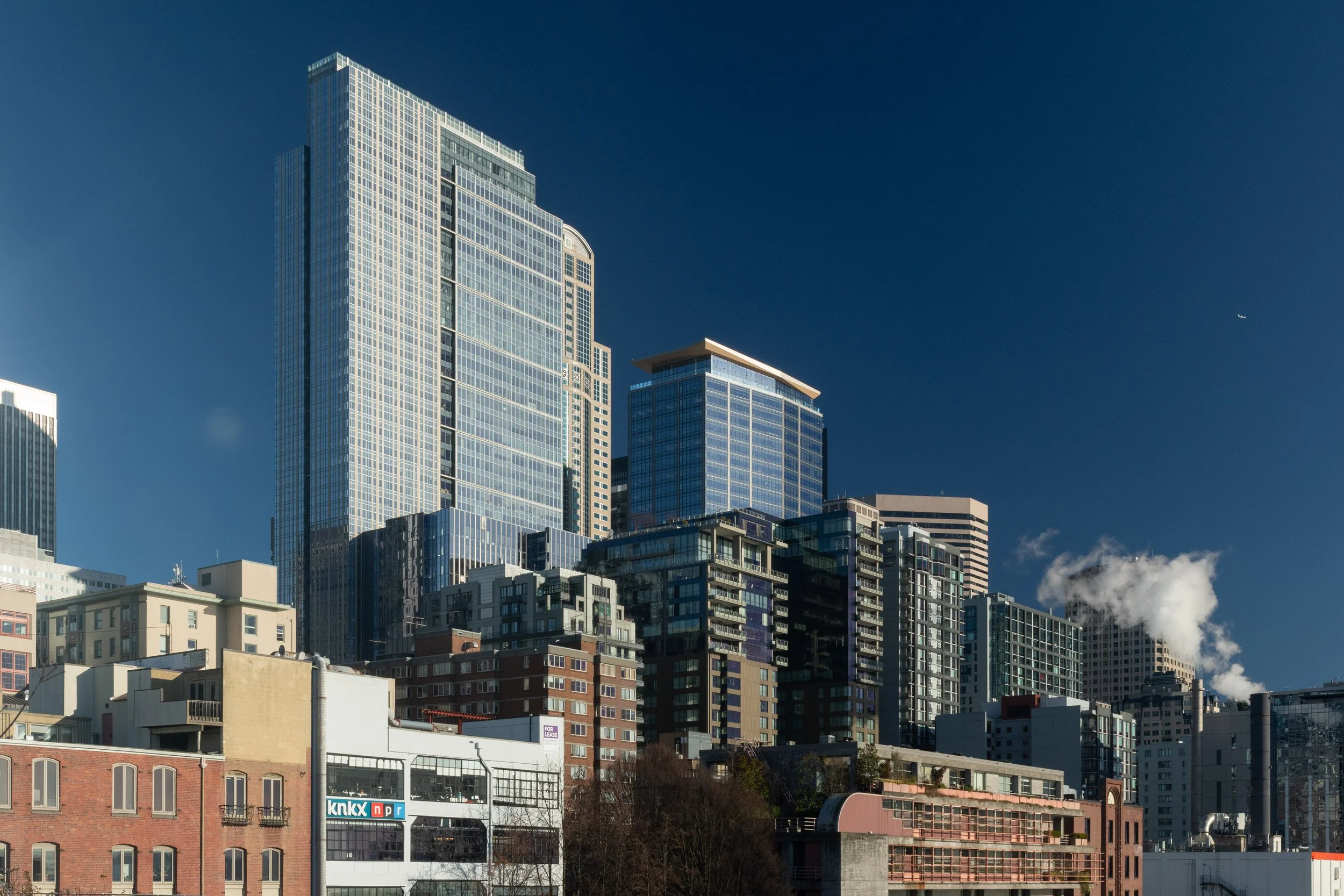20250121-DSC_3825.jpg