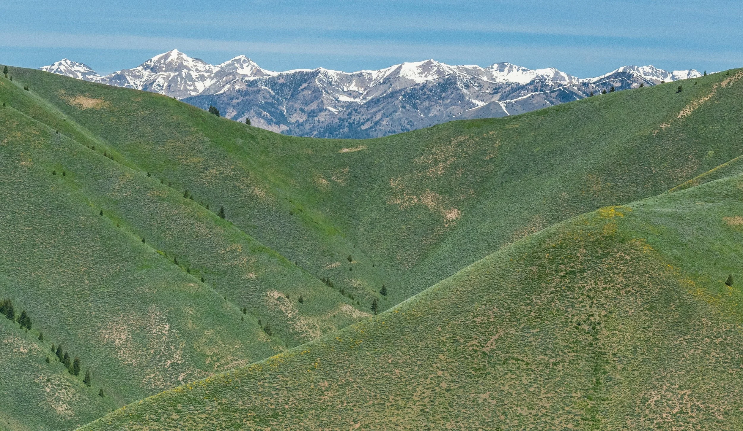 20250527-DSC_4432.jpg