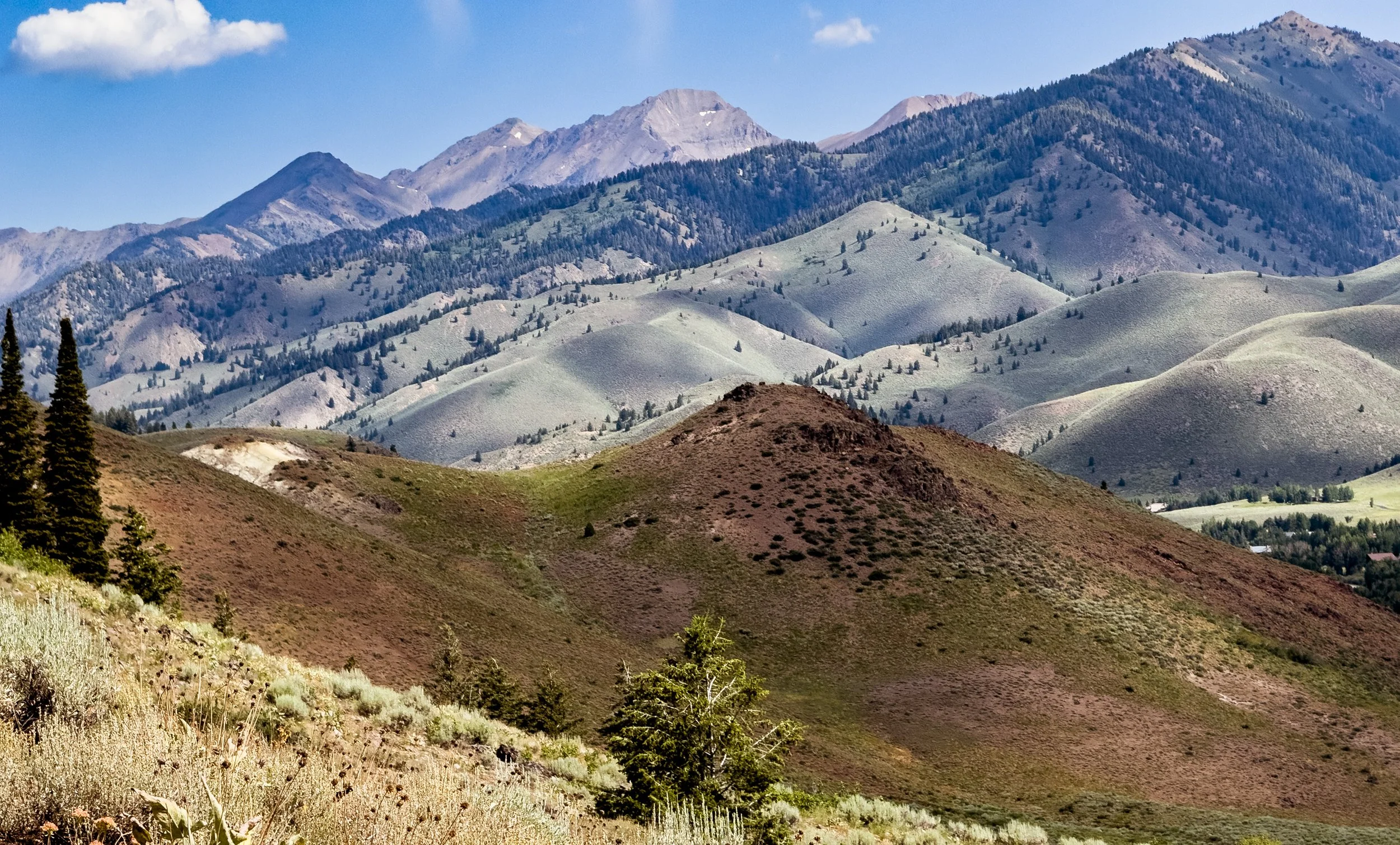 IMG_0302-Edit.jpg