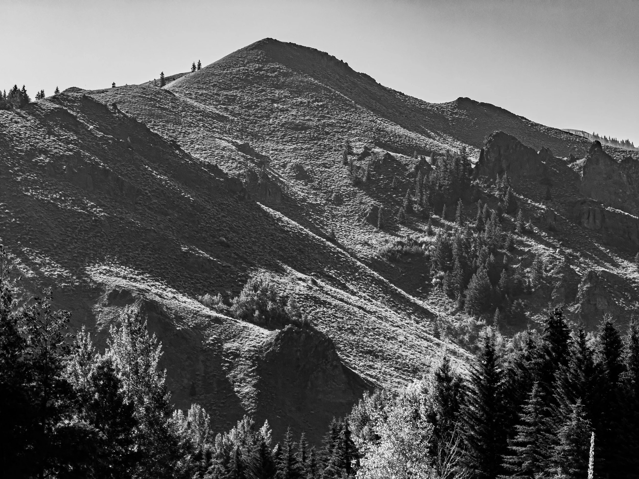 IMG_0343-Enhanced-NR.jpg