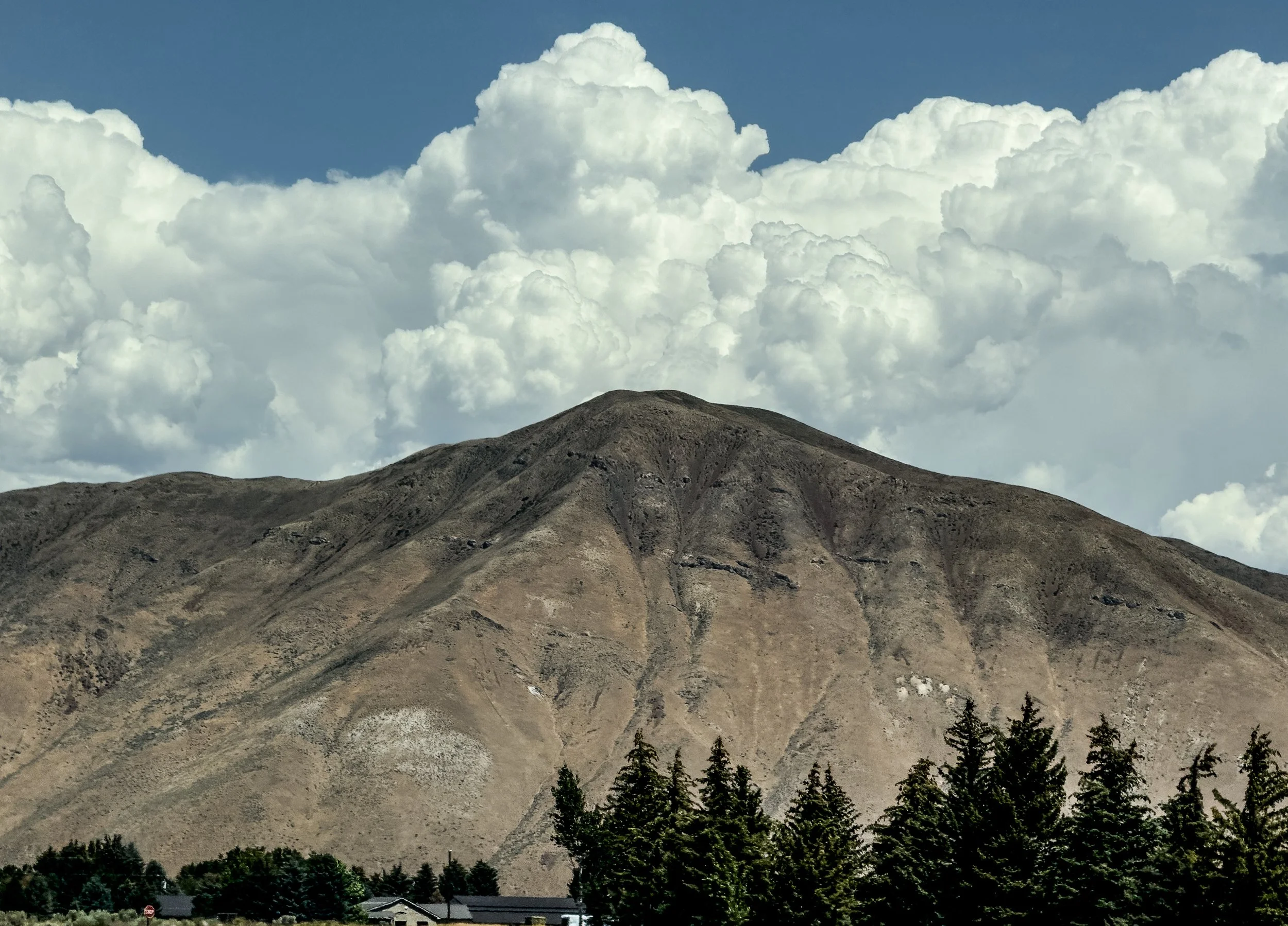 IMG_0528-Edit.jpg