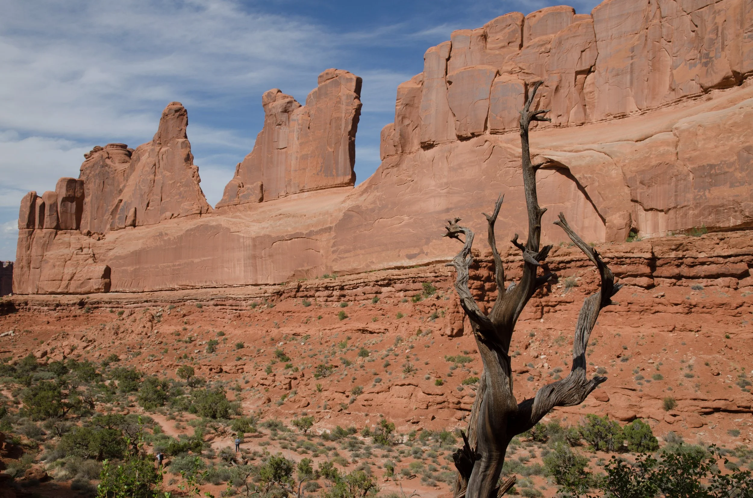 DSC_0190.jpg