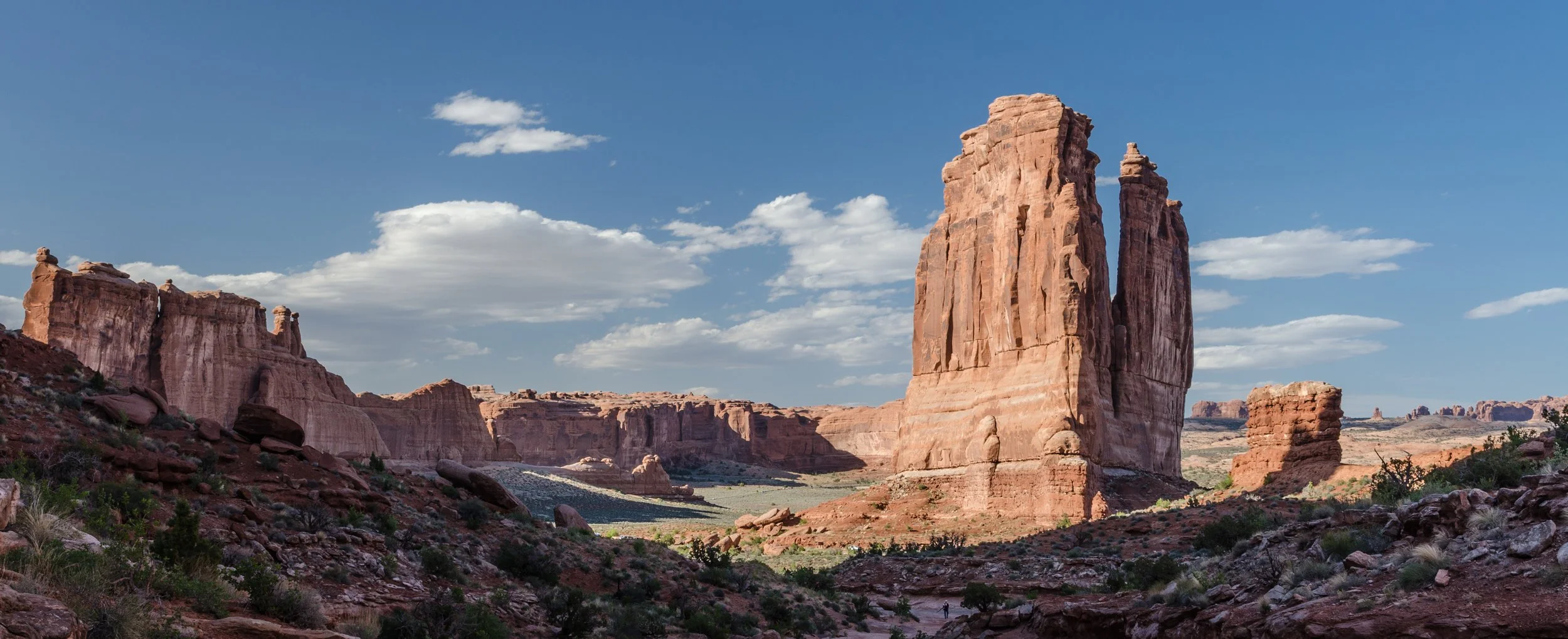 DSC_0316.jpg